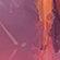 ONE_COLOUR