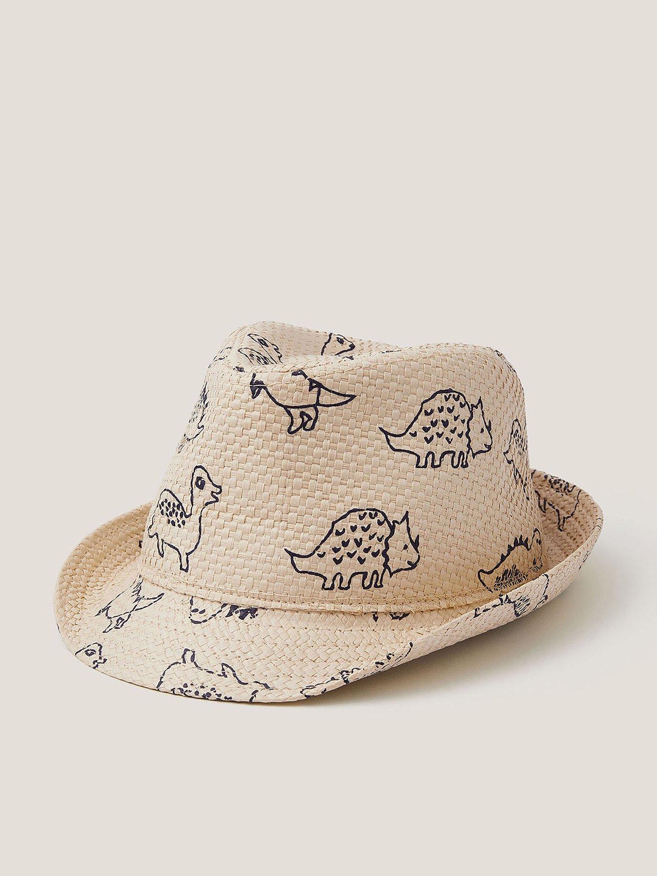 monsoon-boys-dinosaur-trilby-multi