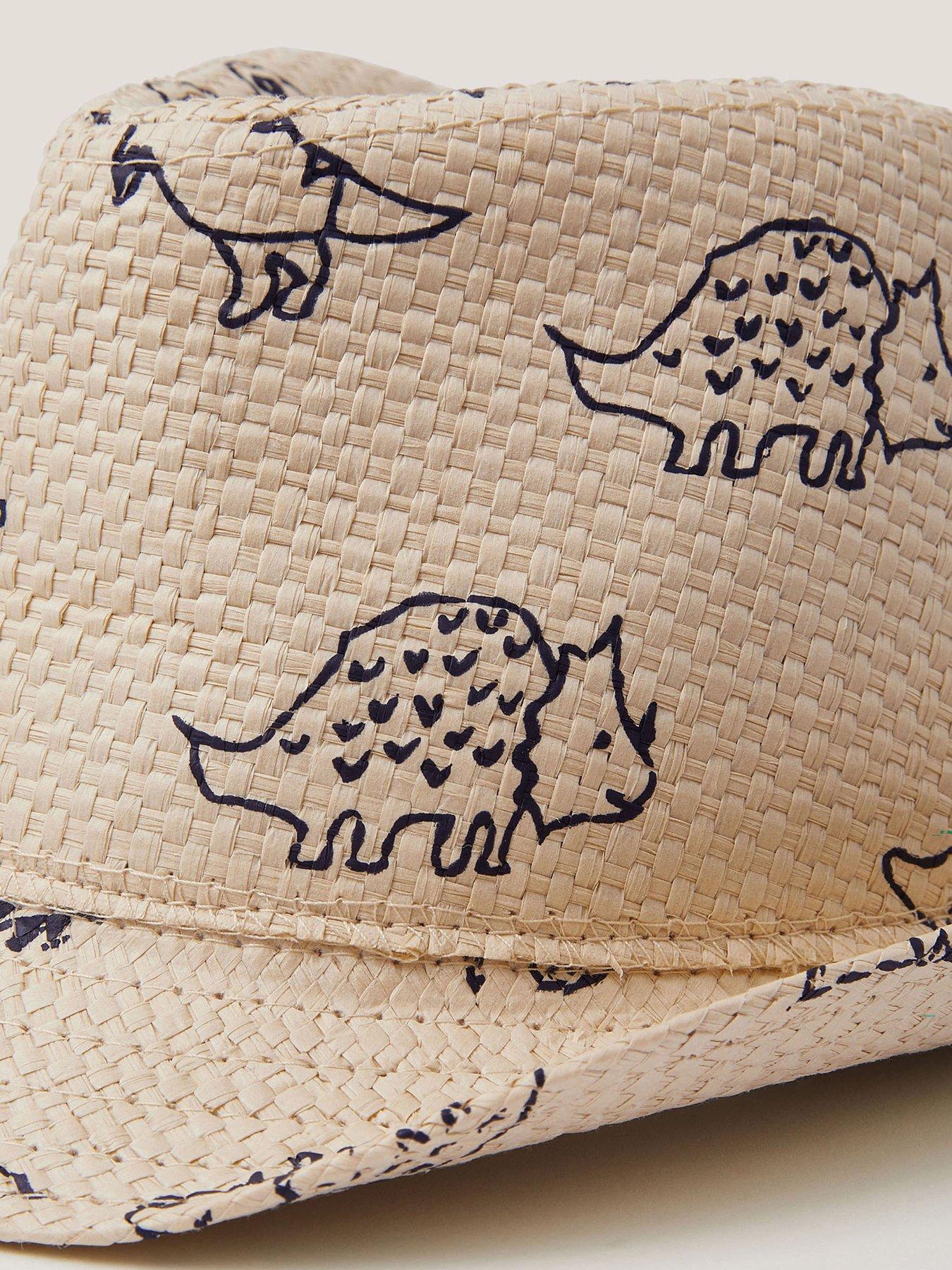 monsoon-boys-dinosaur-trilby-multioutfit
