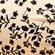 Ivory_Mix