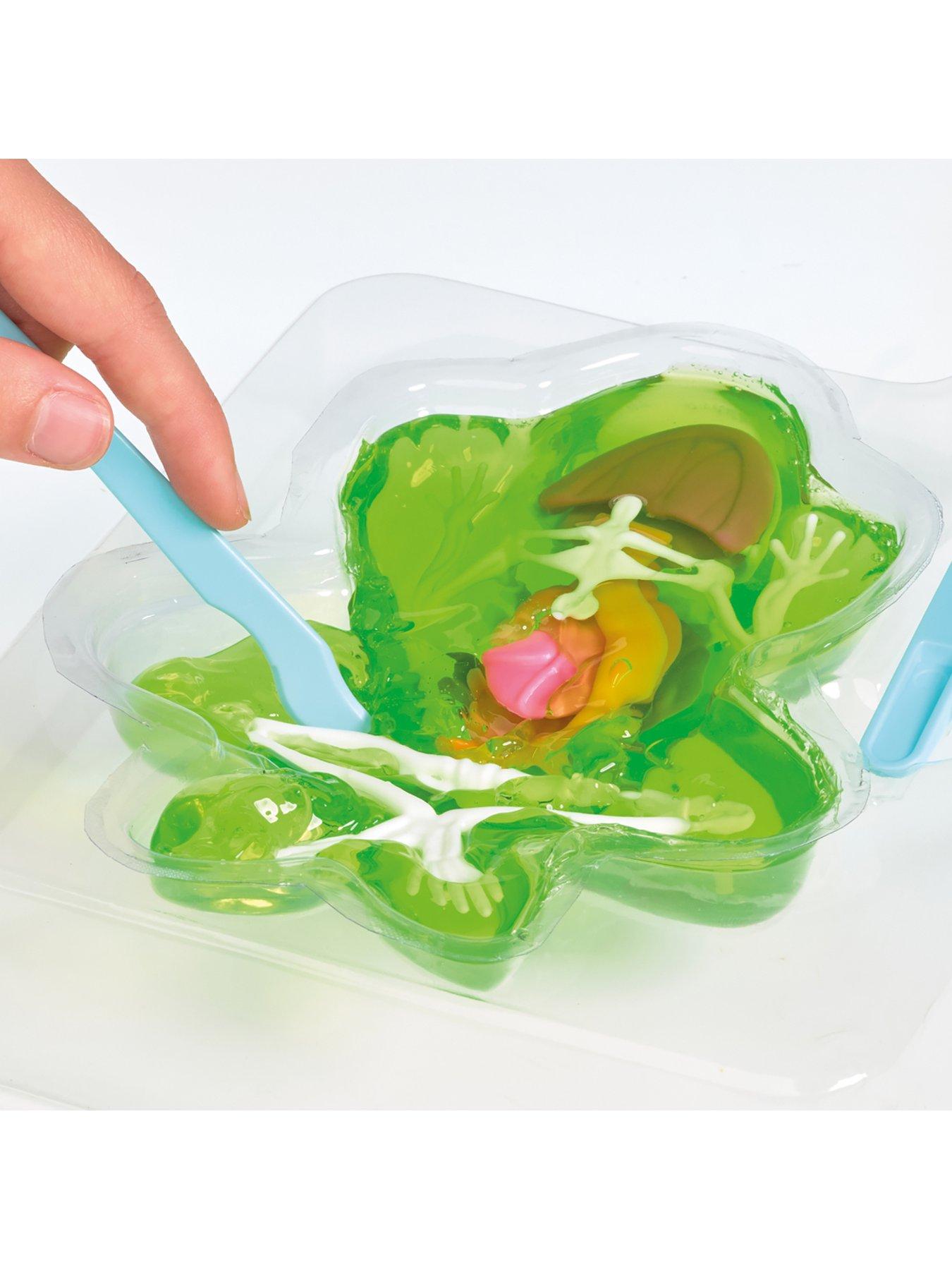 Image 3 of 3 of Science Mad Science Mad Dissection Kit - 2 Pack