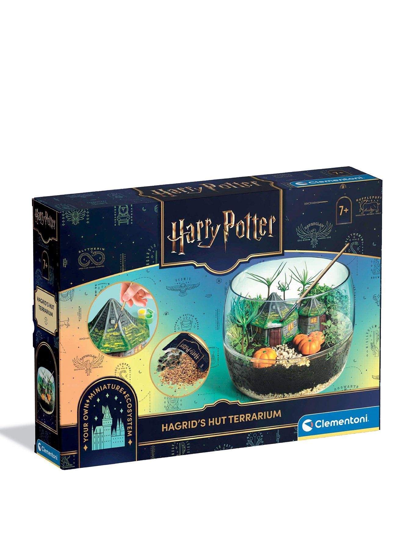 Image 1 of 6 of Harry Potter Hagrids Hut Terrarium Kit