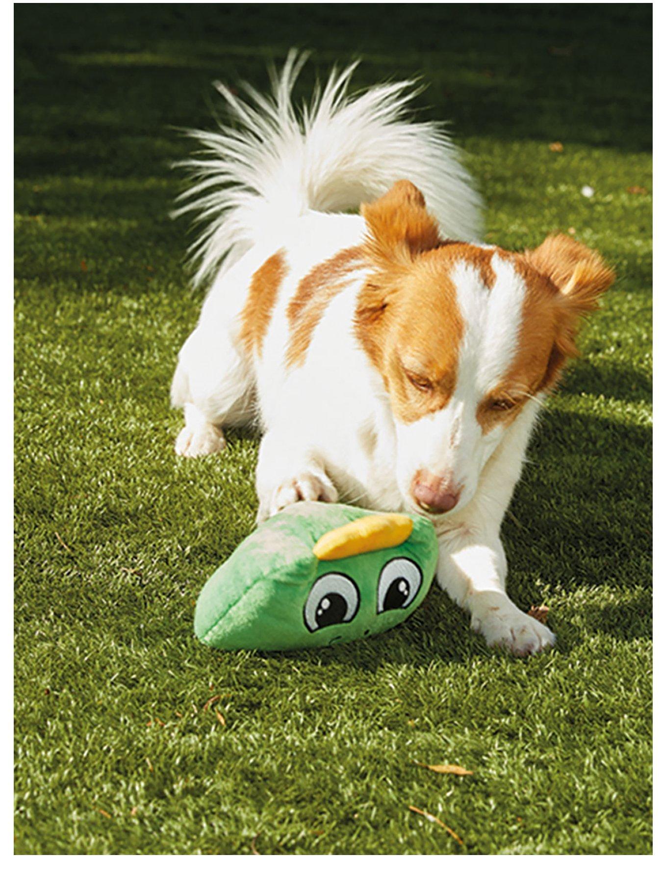 jml-chuckle-chums-vibrating-dog-toy-dinofront