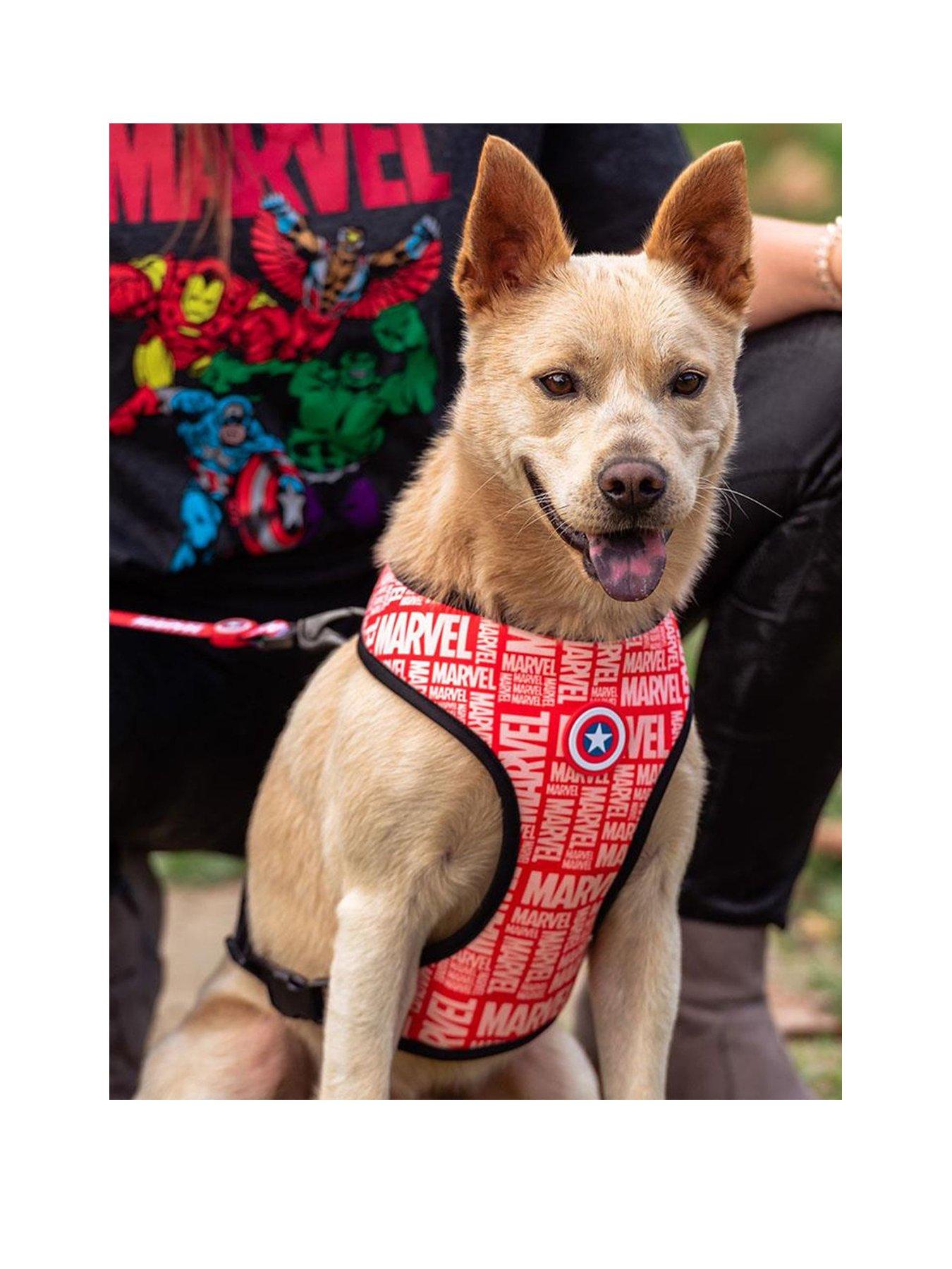 marvel-marvel-dog-harnessstillFront