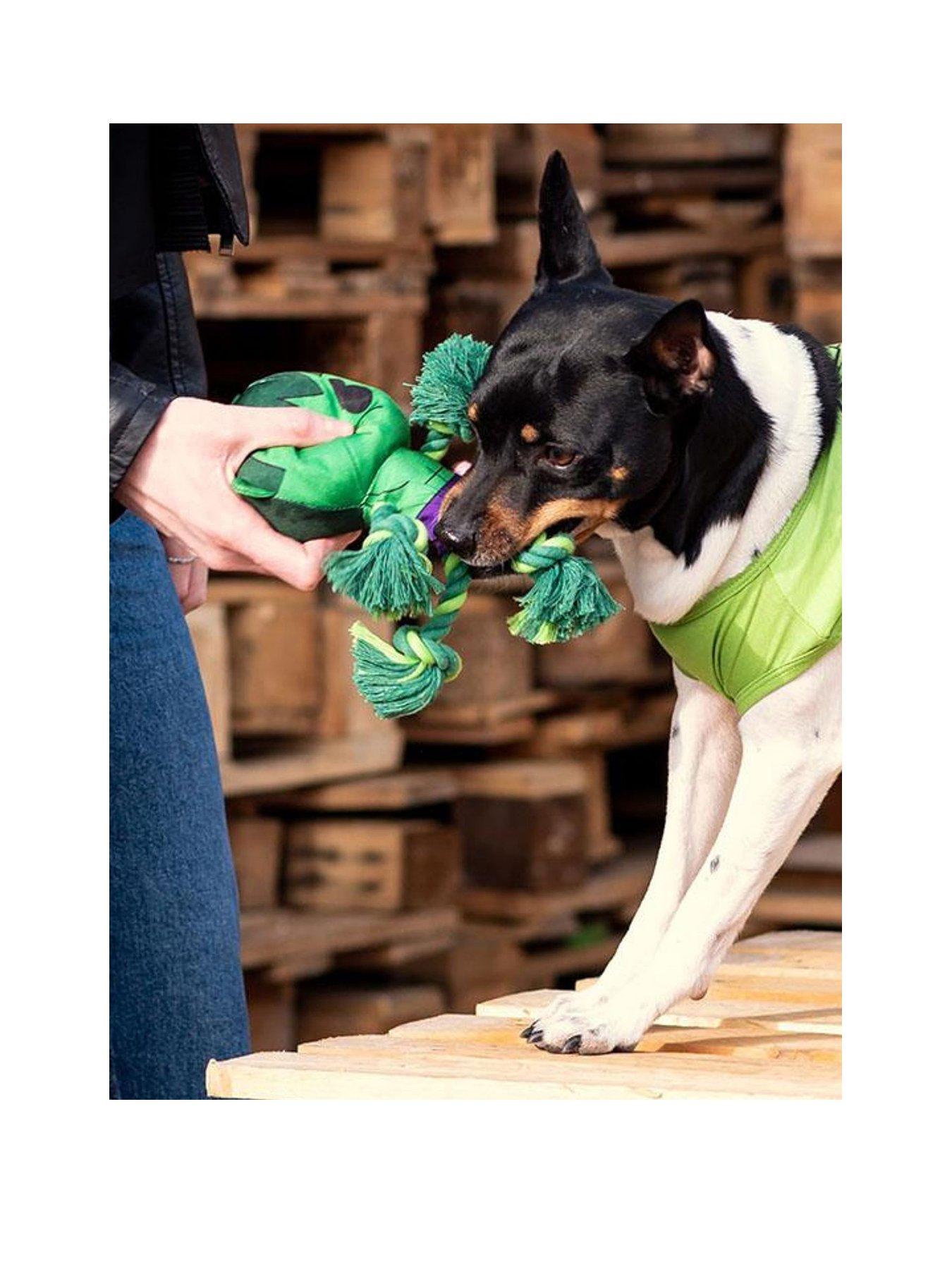 marvel-marvel-hulk-dog-toystillFront