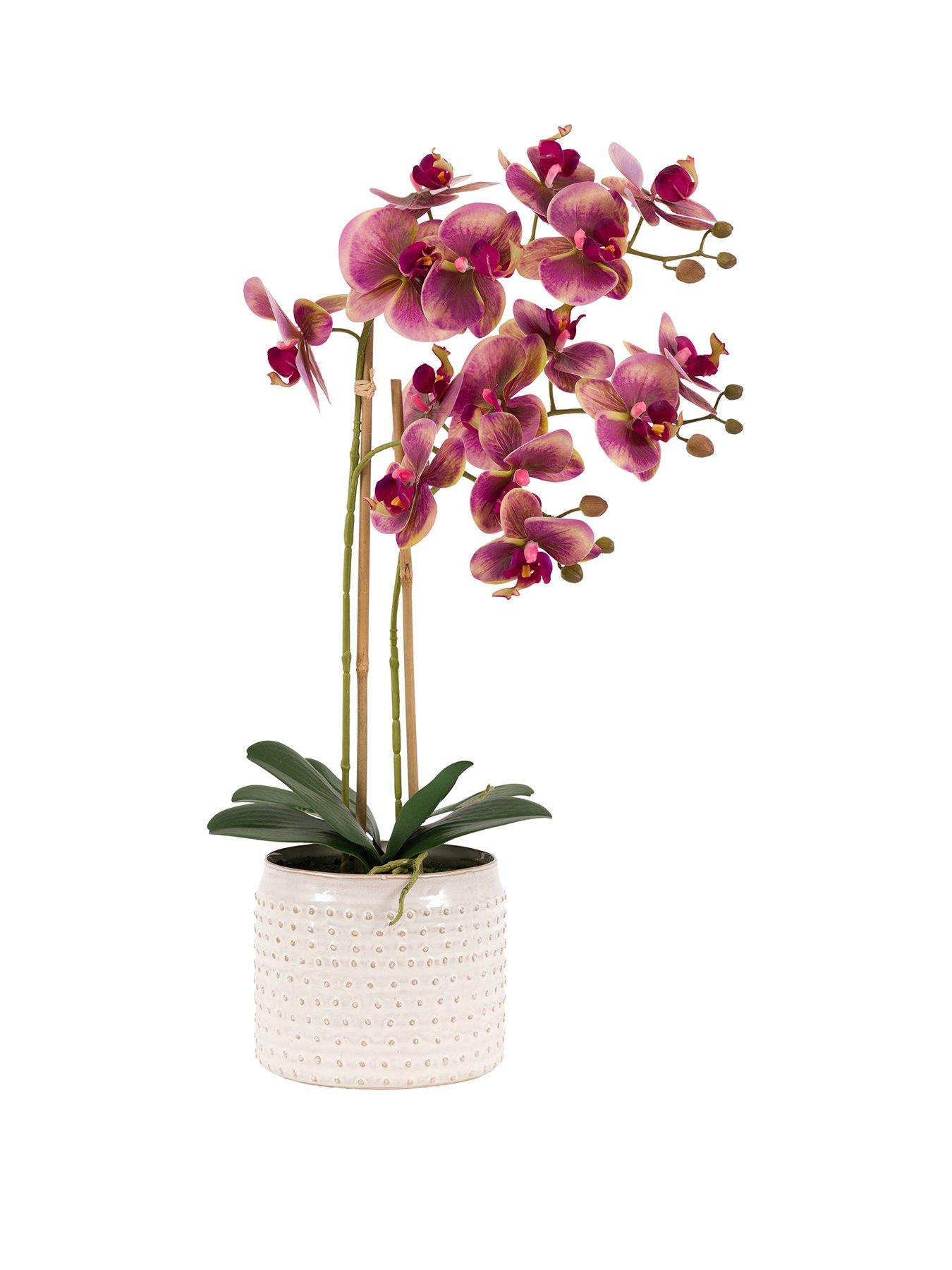 gallery-willow-stems-in-ceramic-vasefront