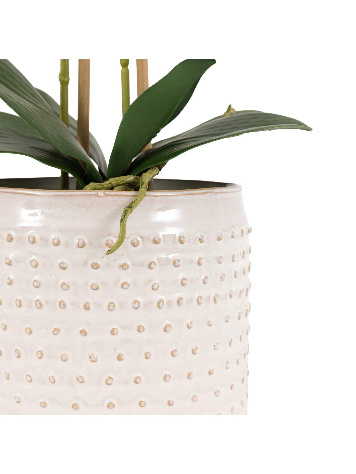 gallery-willow-stems-in-ceramic-vaseback