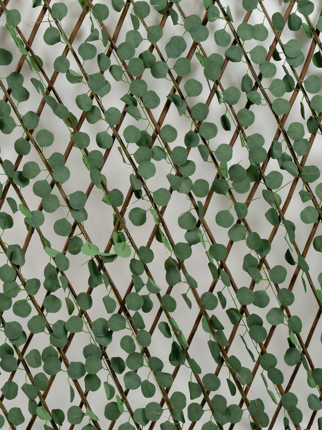 scottish-everlastings-170x90cm-eucaliptus-trillis-with-solar-lightsoutfit