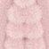 114 ROSE