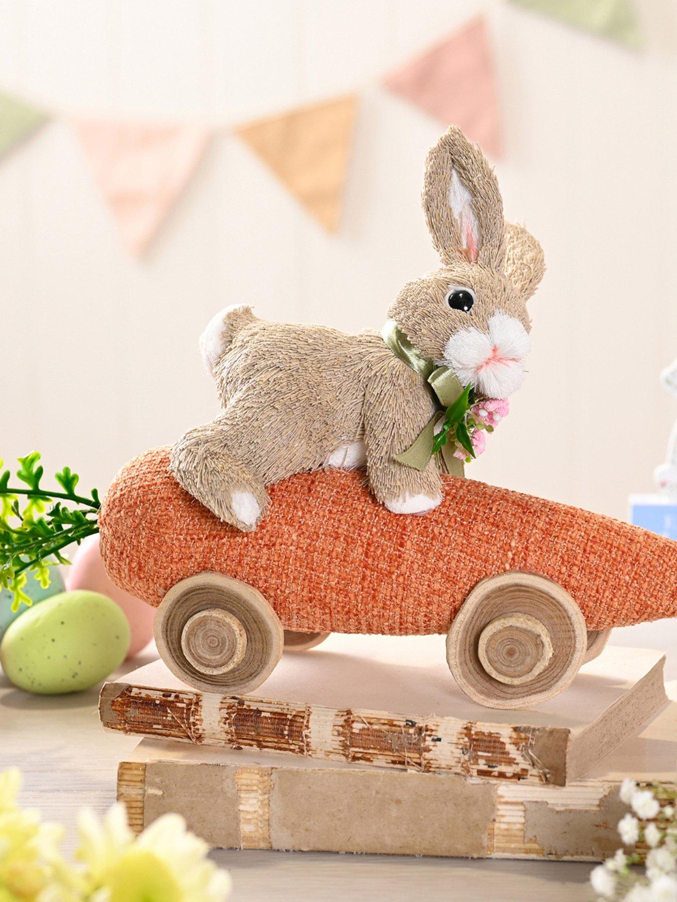 Bristle Bunny Riding Carrot Car