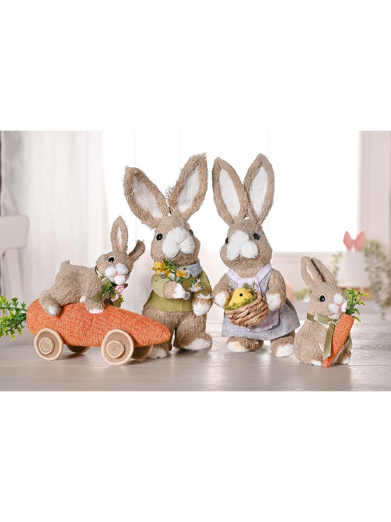 Image 3 of 3 of Bristle Bunny Riding Carrot Car