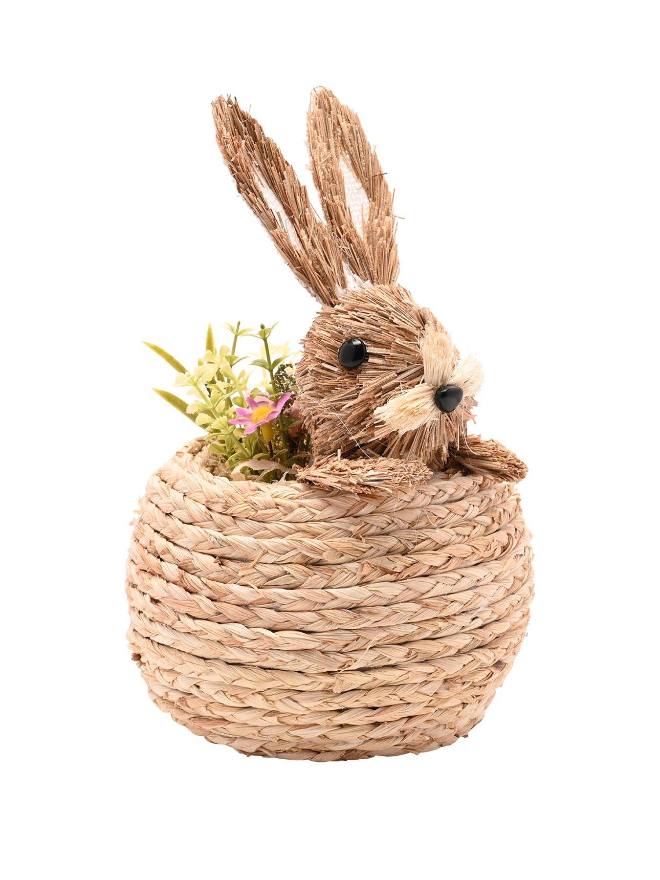 Image 2 of 6 of Bristle Bunny In A Basket