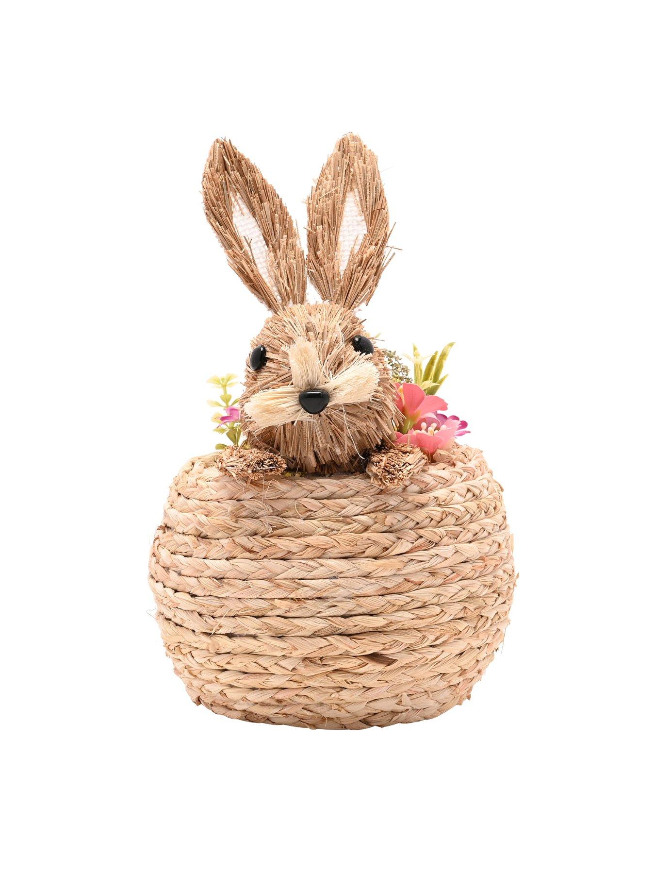 Image 3 of 6 of Bristle Bunny In A Basket