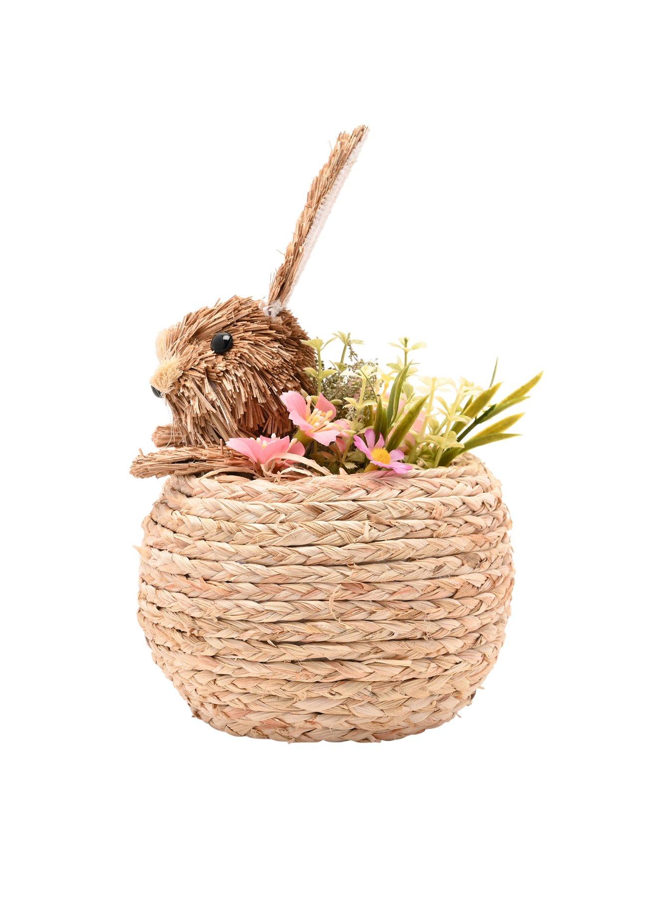 Image 4 of 6 of Bristle Bunny In A Basket