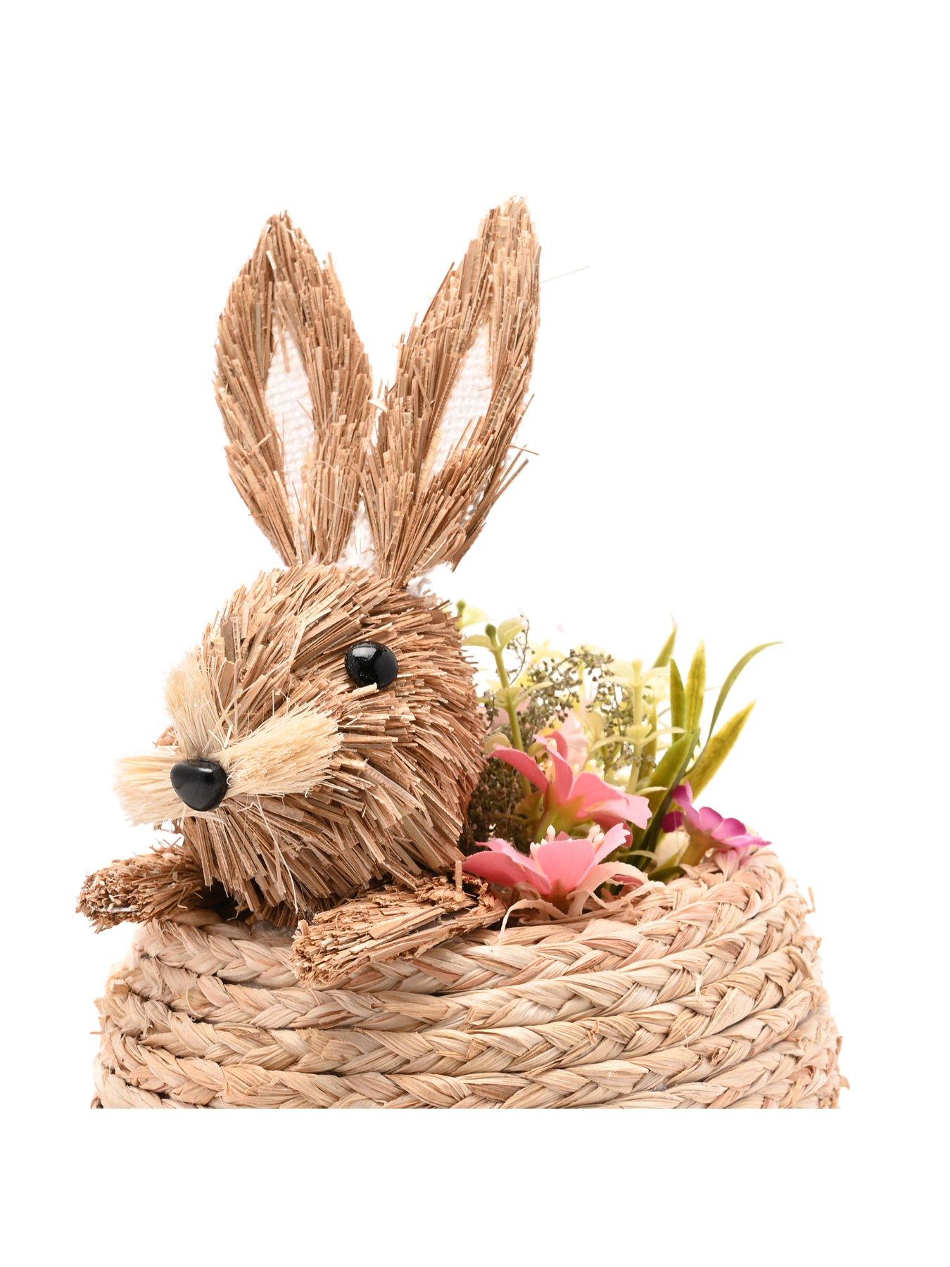 Image 6 of 6 of Bristle Bunny In A Basket