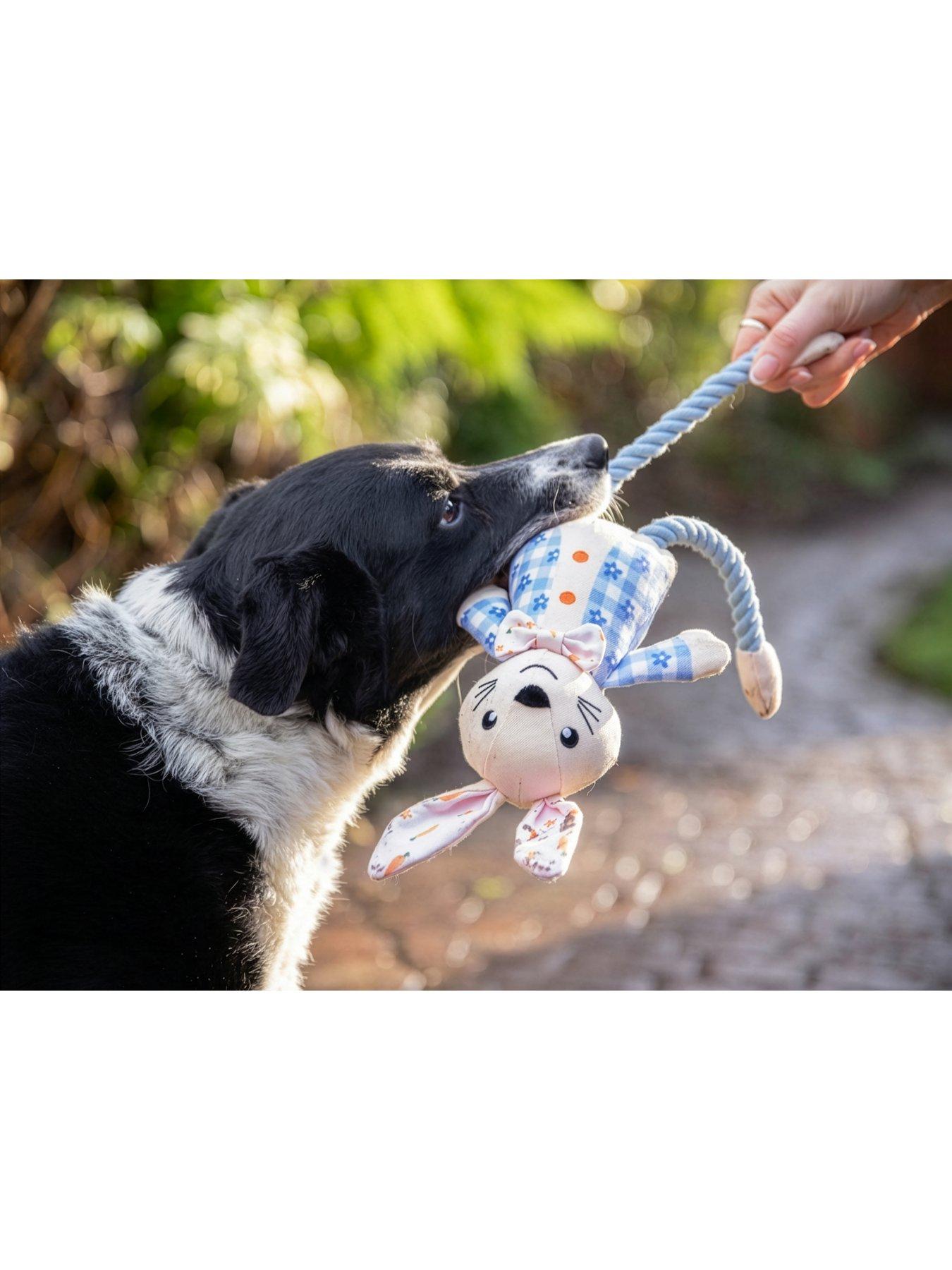 rosewood-easter-rabbit-toydog-safe-choc-drops-and-bowtie-gift-setback