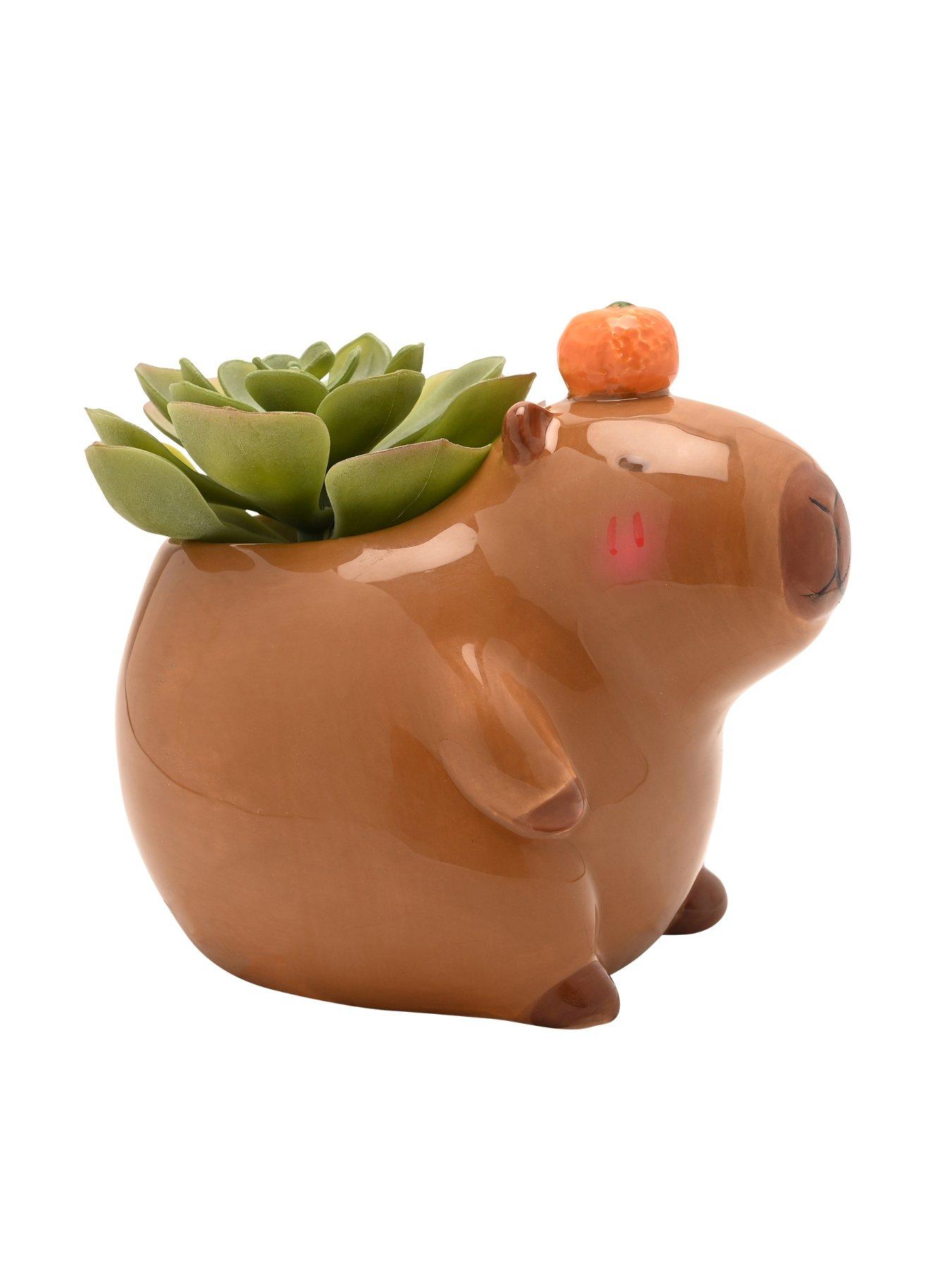 hestia-the-feel-good-club-capybara-plant-pot-mediumoutfit