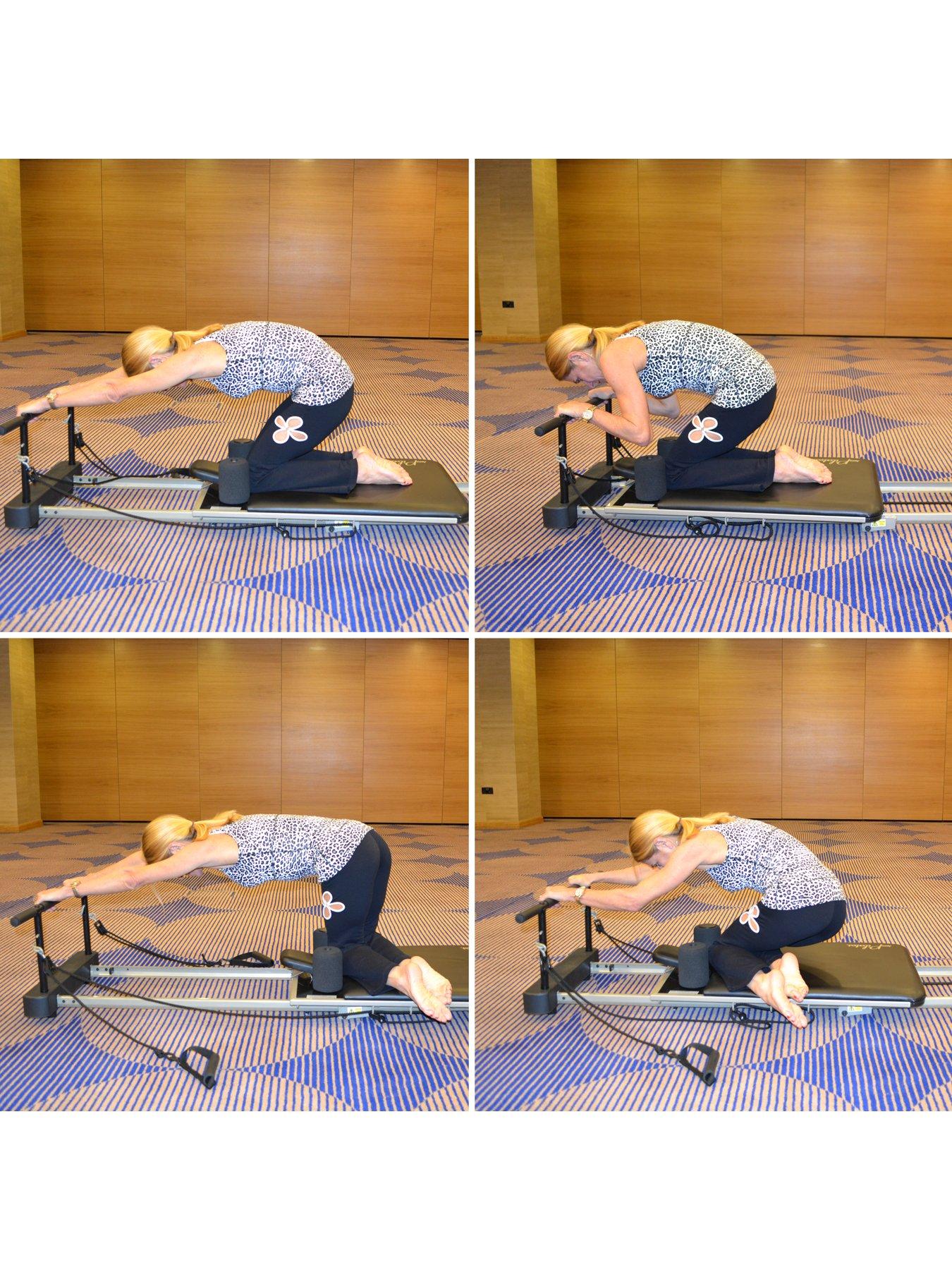 aeropilates-aeropilates-reformer-pull-up-barsback