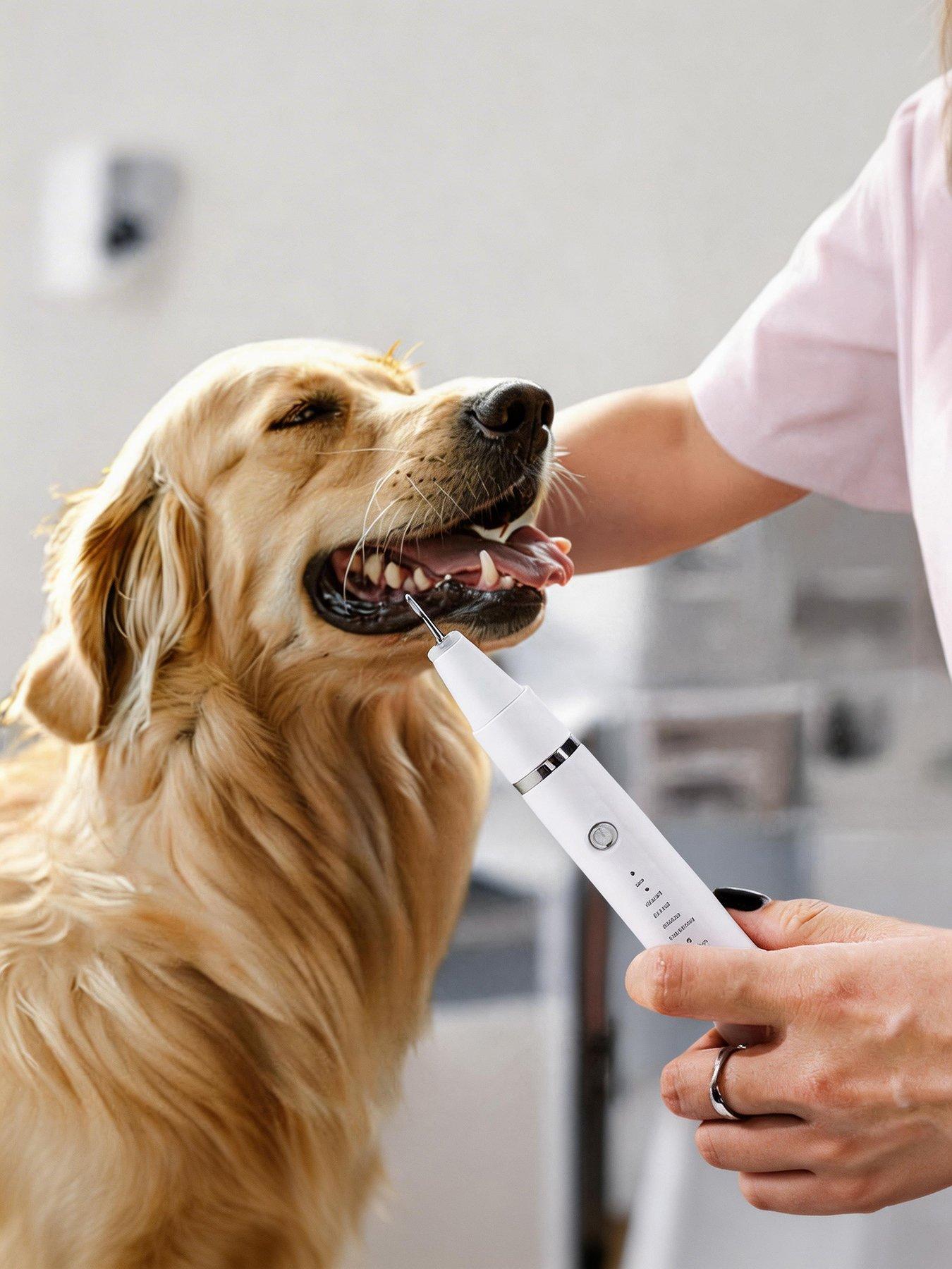 Image 4 of 7 of Living and Home White Pet Teeth Cleaning Kit