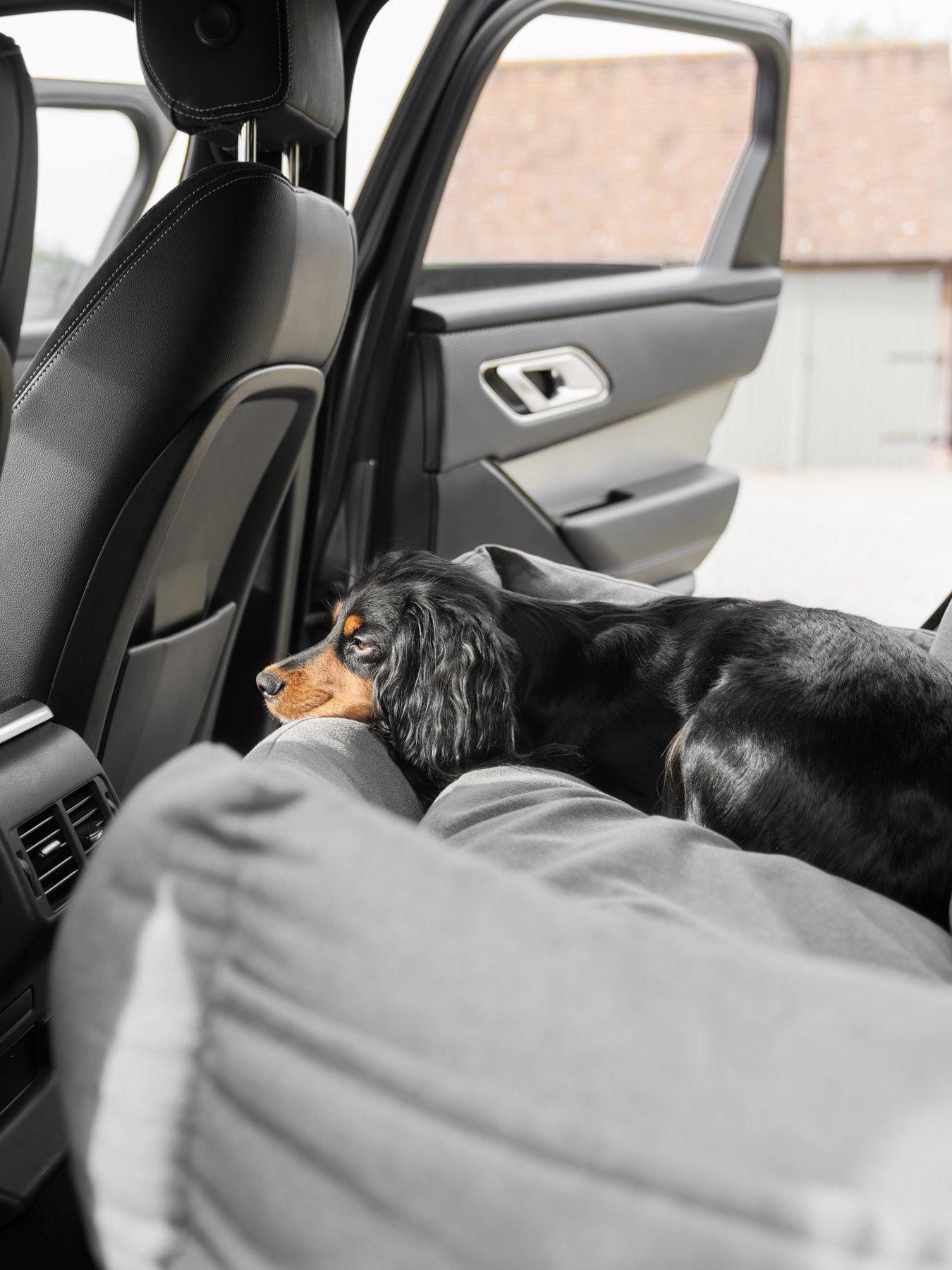 Image 5 of 6 of Lords and Labradors Double Easy Traveller in Slate by Lords & Labradors