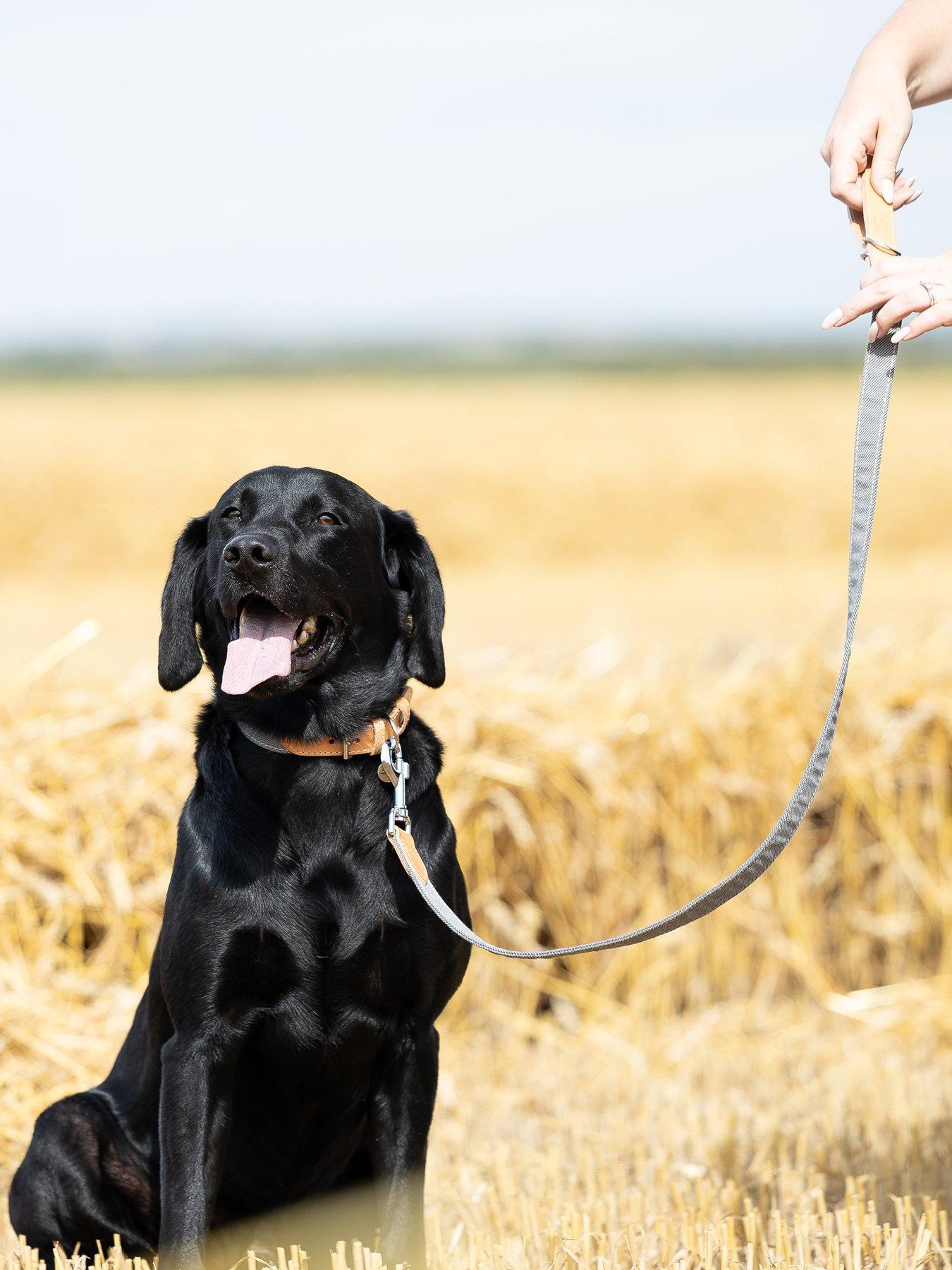Lords and Labradors Lords & Labradors Essentials Twill Lead Slate S