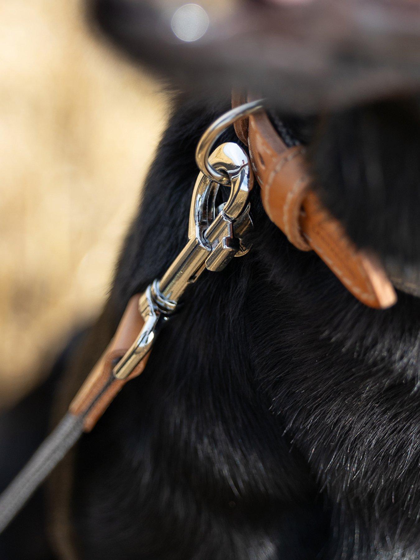 Image 5 of 5 of Lords and Labradors Lords & Labradors Essentials Twill Lead Slate S