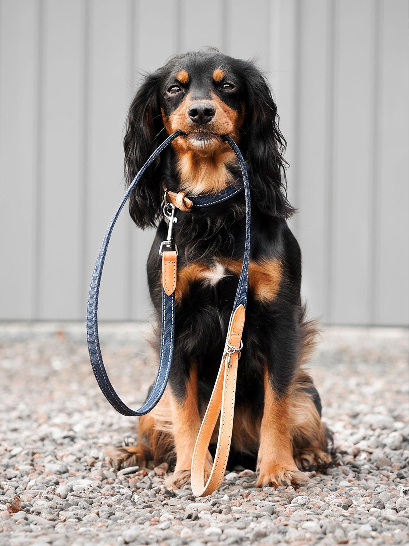 Image 1 of 4 of Lords and Labradors Lords & Labradors Essentials Twill Lead Denim S