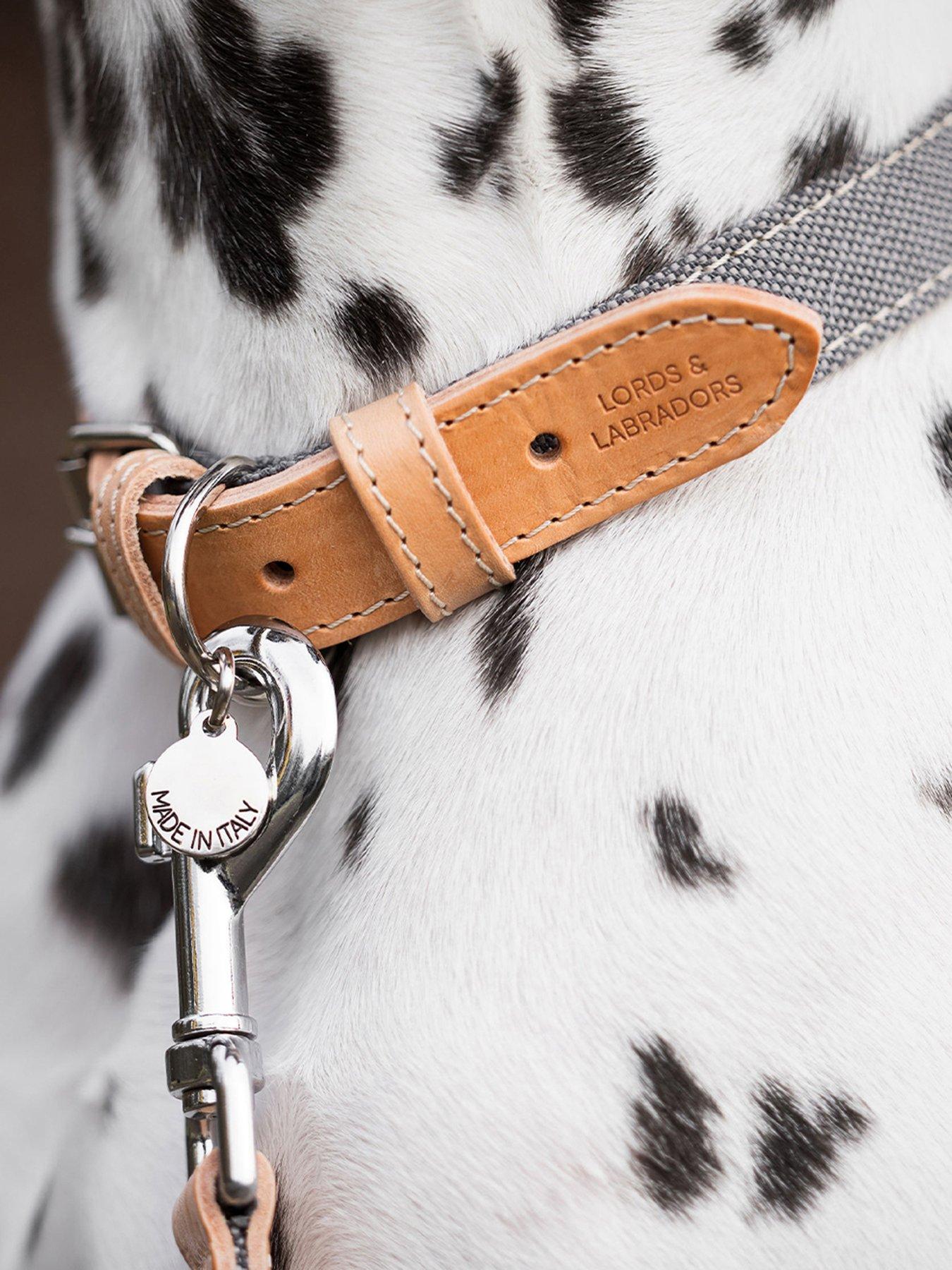 Lords and Labradors Lords & Labradors Essentials Twill Collar Slate XL