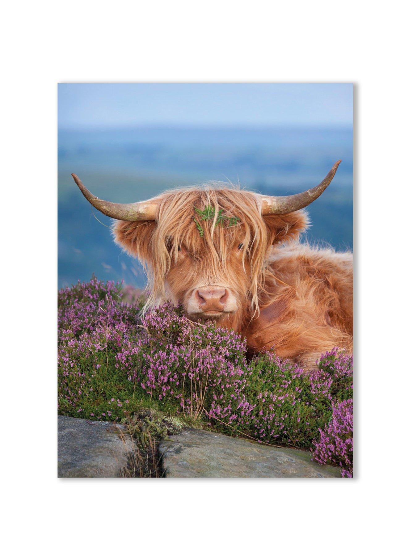 Image 2 of 2 of The Art Group ALEX HYDE (HIGHLAND COW ON HEATHER) 30X40