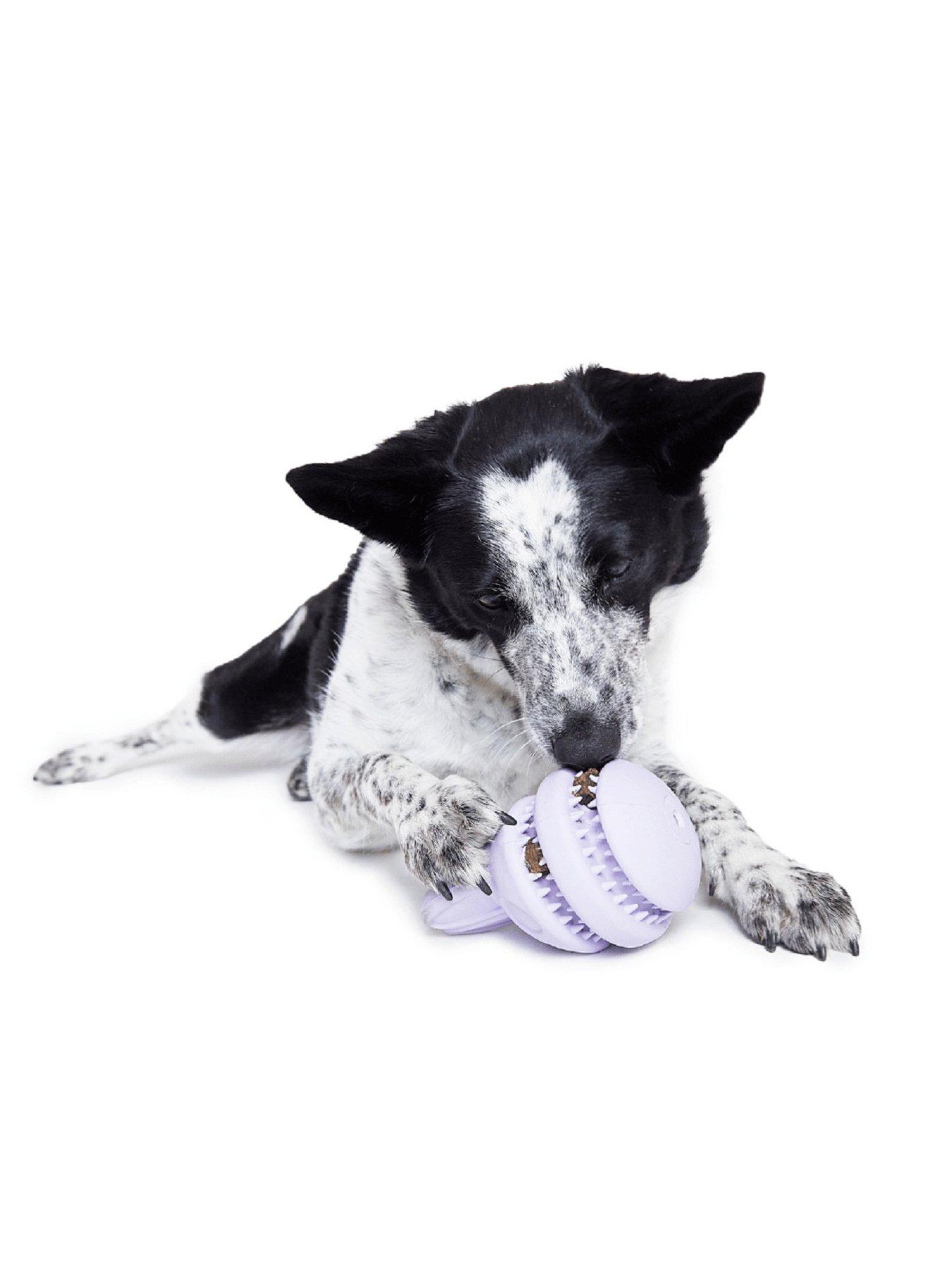 Image 3 of 4 of Bark Hippie Hopper Dog Toy