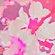 ONE_COLOUR