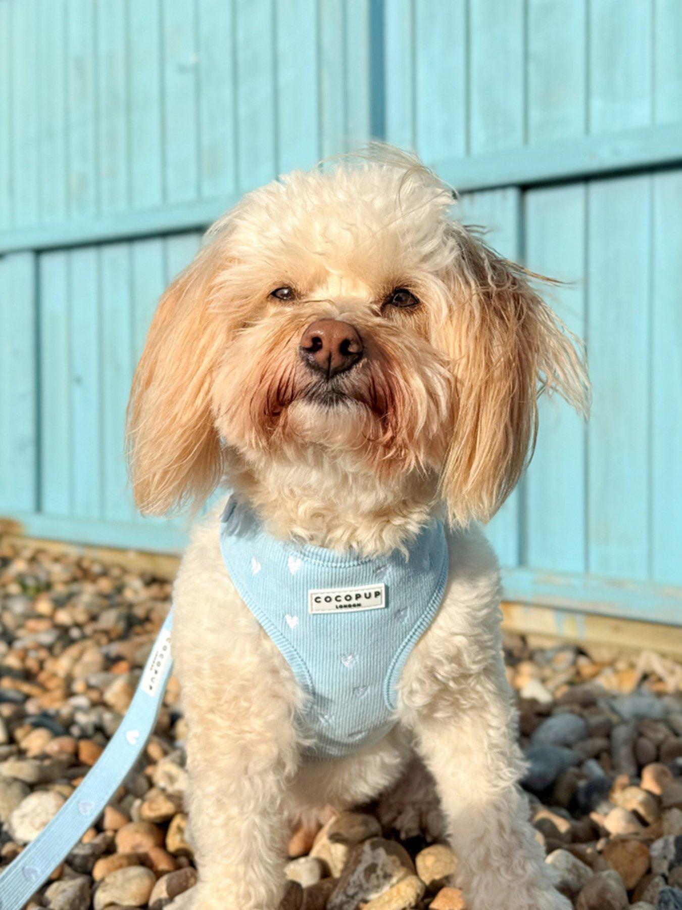 Cocopup Blue Heartstrings Cord Adjustable Neck Harness