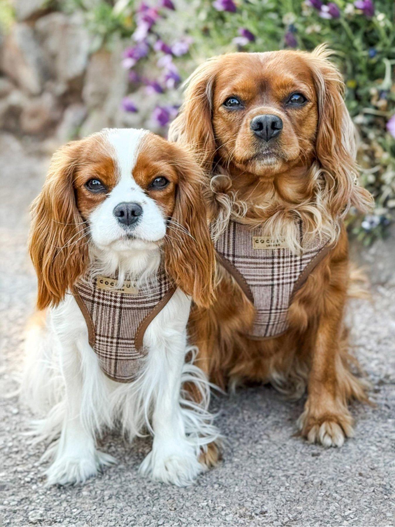 Cocopup Pup Plaid Adjustable Neck Harness