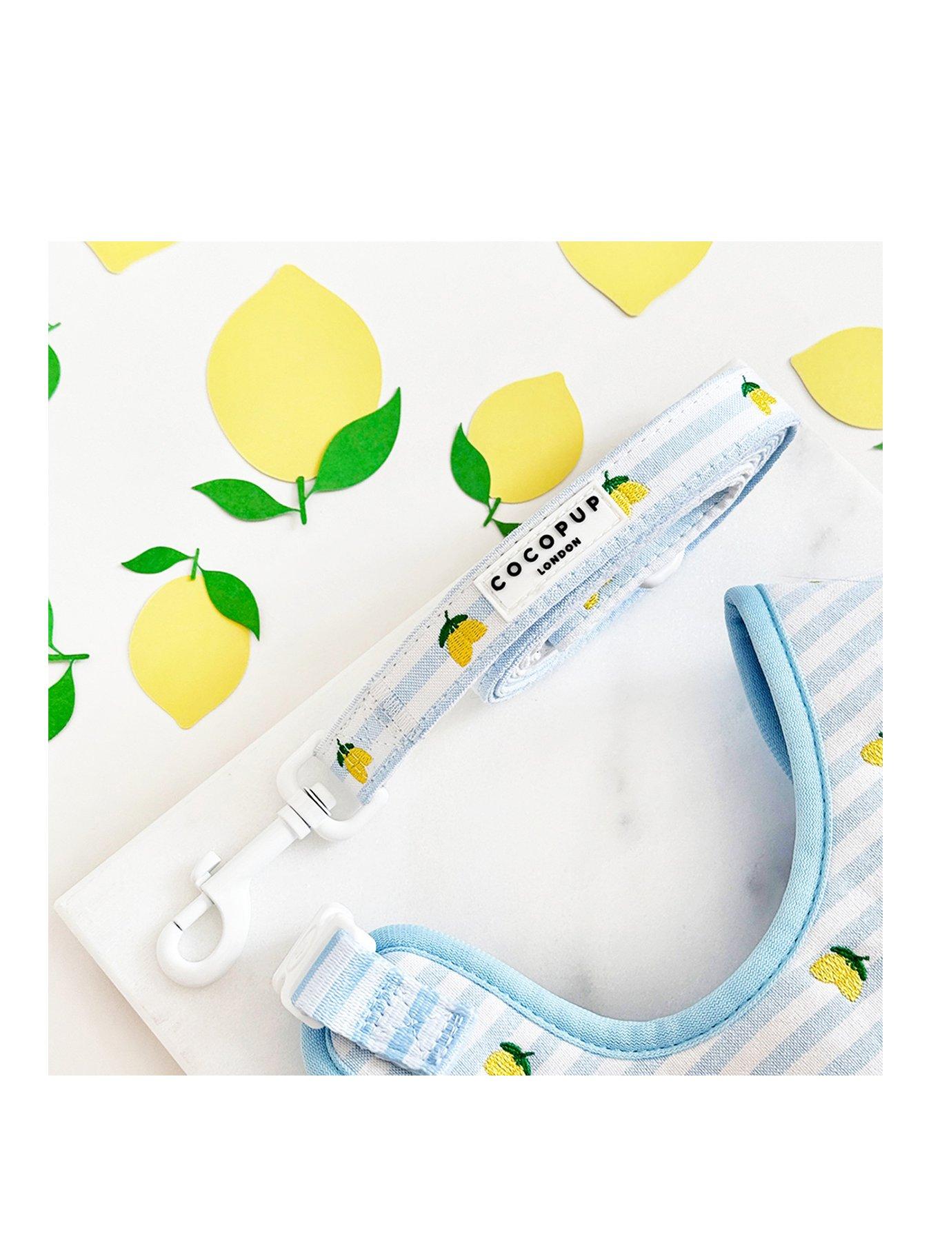 Cocopup Living La Vida Lemon Lead in Blue