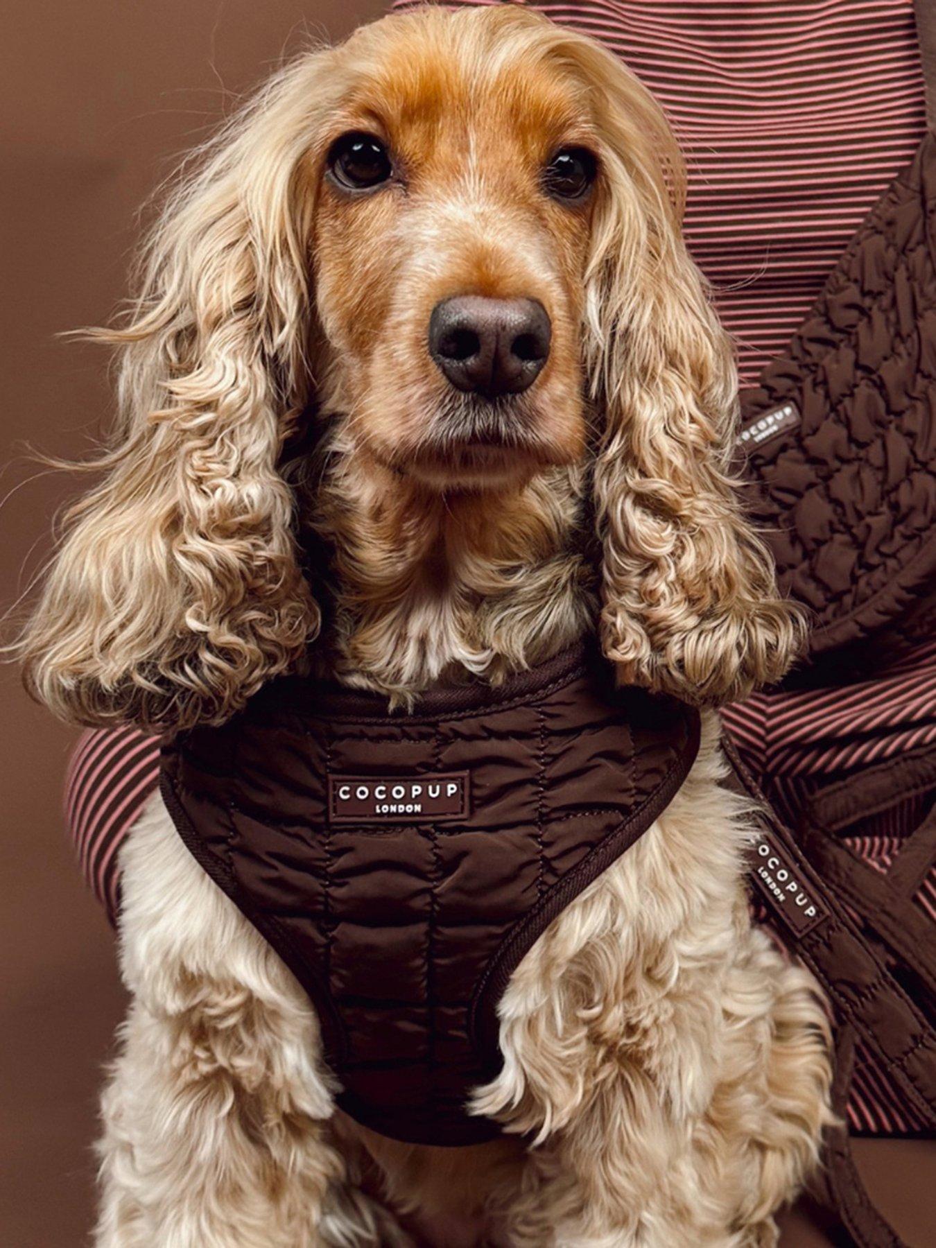 Cocopup Espresso Quilted Adjustable Neck Harness - Extra Small in Brown