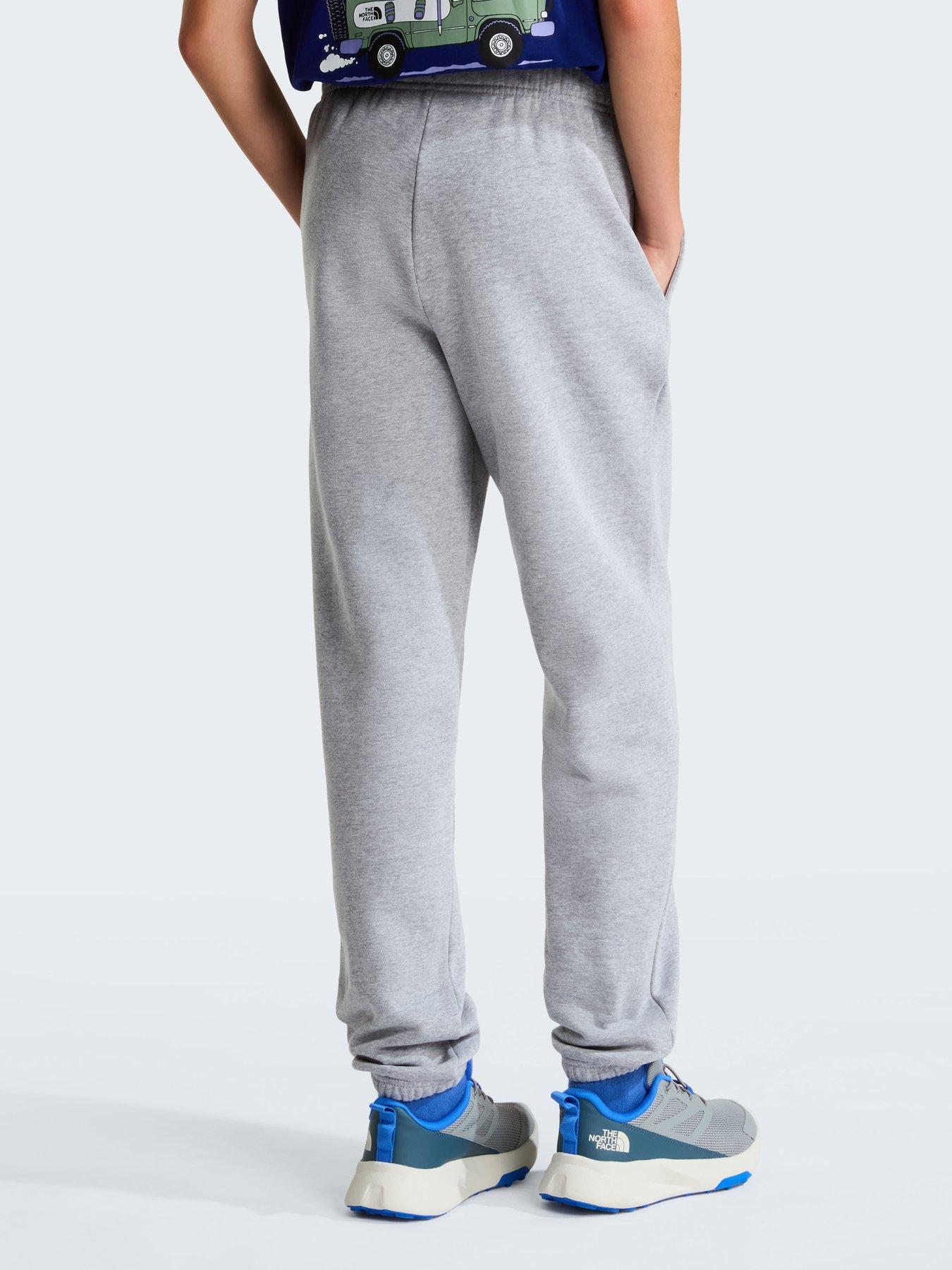 Image 2 of 5 of The North Face Junior Boys Evolution Simple Dome Joggers - Grey