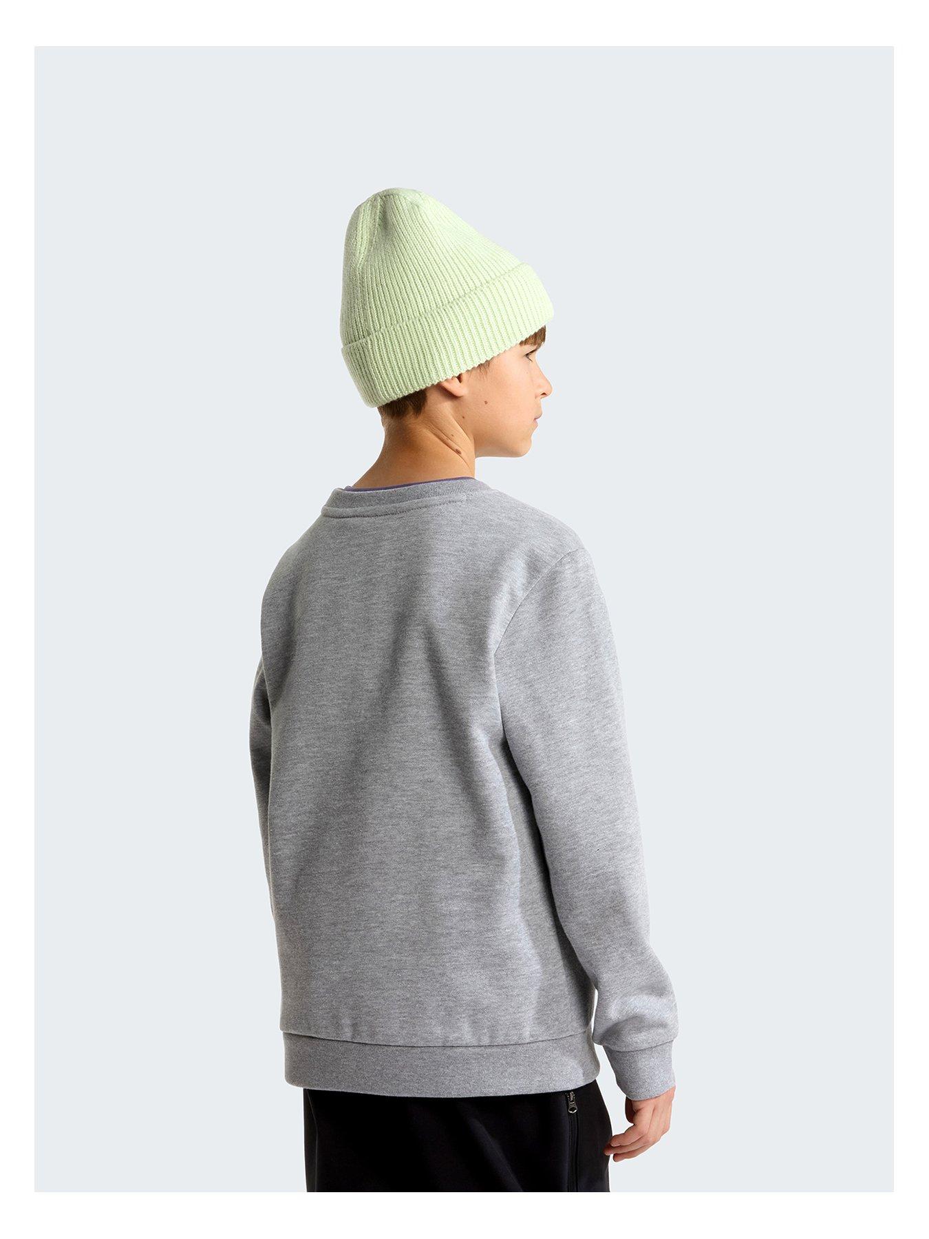 Image 2 of 4 of The North Face Junior Boys Evolution Simple Dome Crew Sweat - Grey
