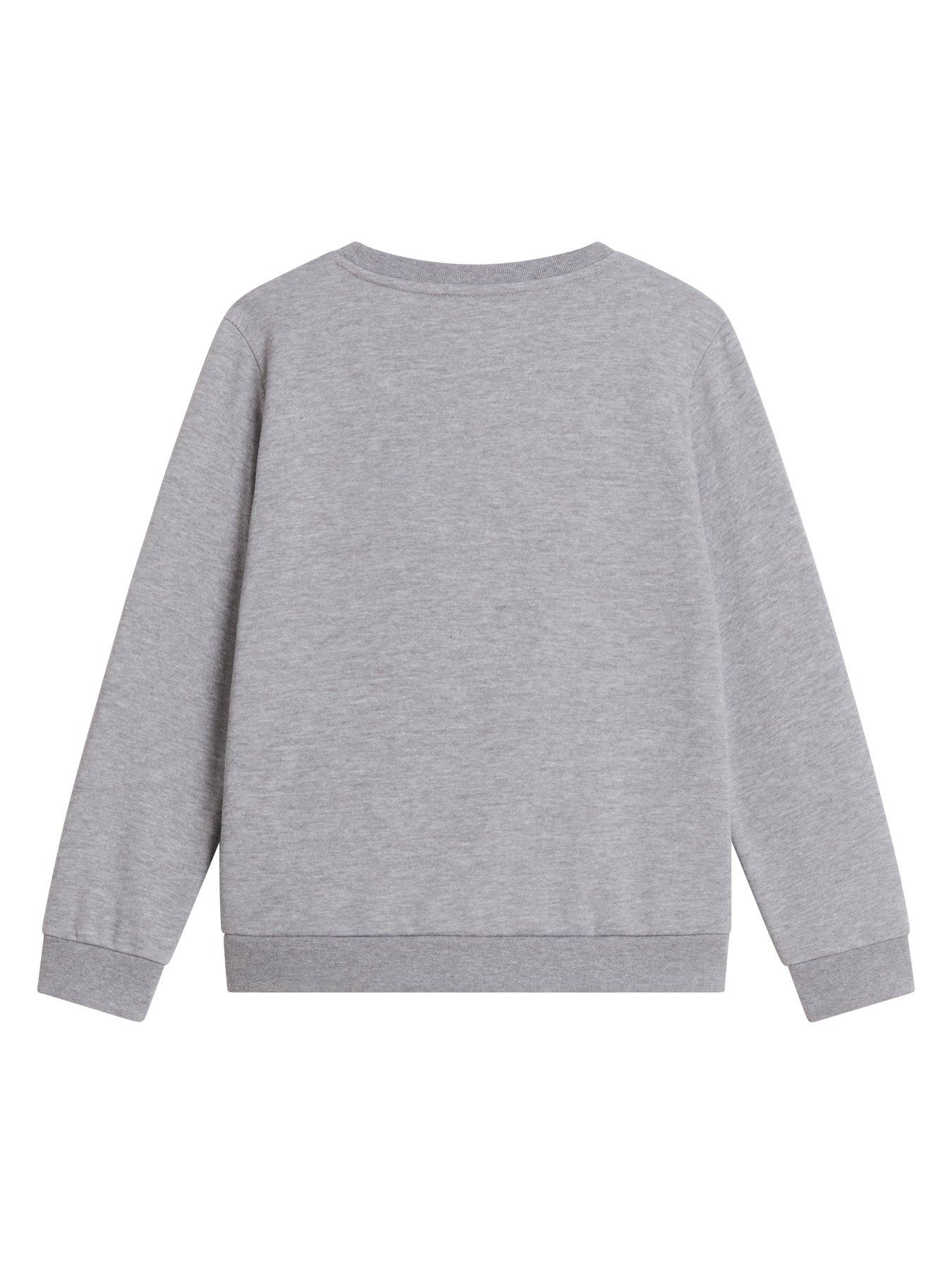 Image 4 of 4 of The North Face Junior Boys Evolution Simple Dome Crew Sweat - Grey