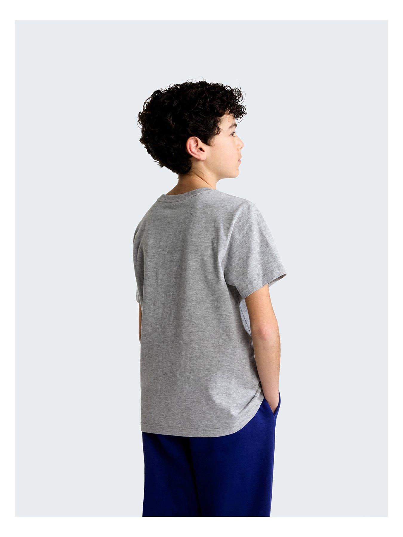 Image 3 of 5 of The North Face Junior Boys Evolution Simple Dome T-Shirt - Grey