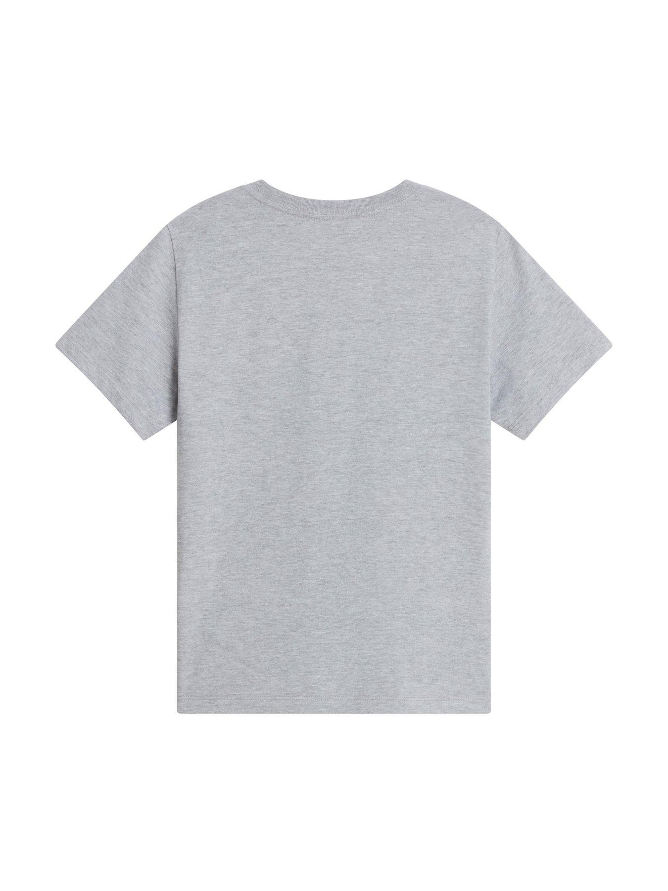 Image 5 of 5 of The North Face Junior Boys Evolution Simple Dome T-Shirt - Grey