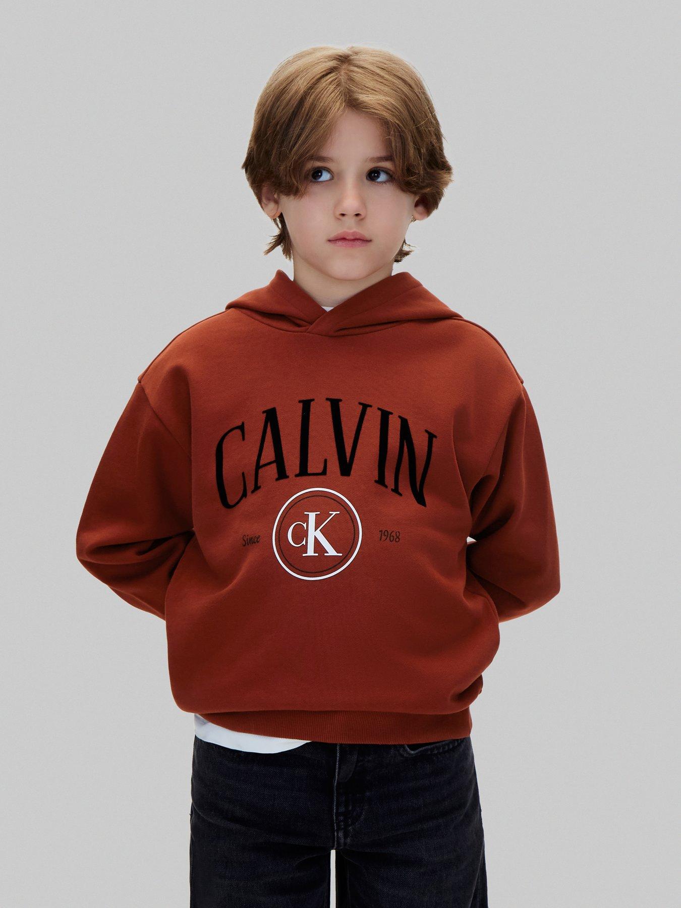 Calvin Klein Jeans Boys Ck Circle Hoodie - Brown
