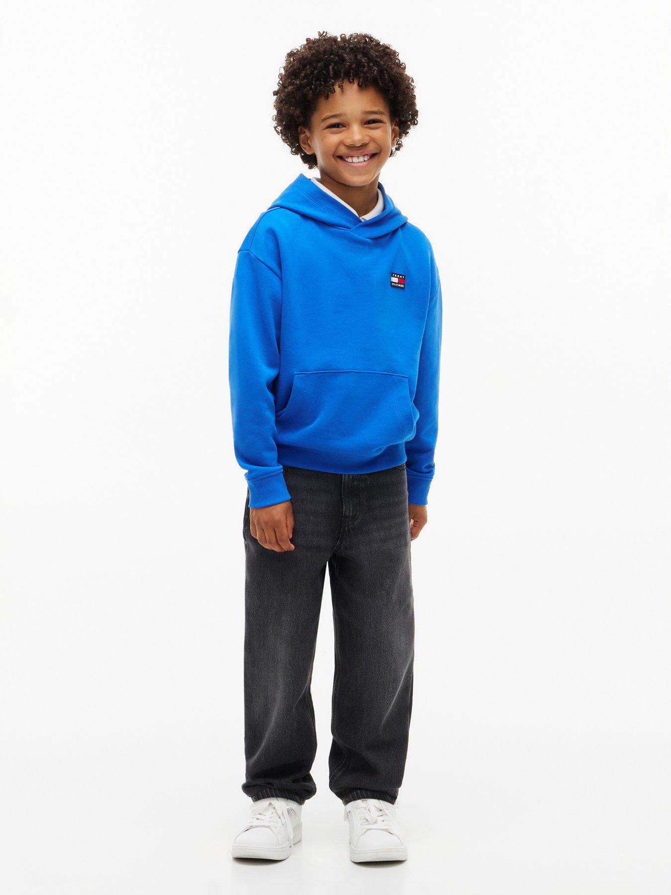 Image 2 of 3 of Tommy Hilfiger Boys Flag Heritage Hoodie - Blue