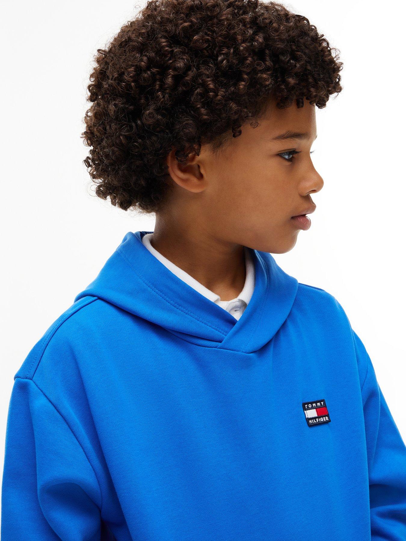 Image 3 of 3 of Tommy Hilfiger Boys Flag Heritage Hoodie - Blue