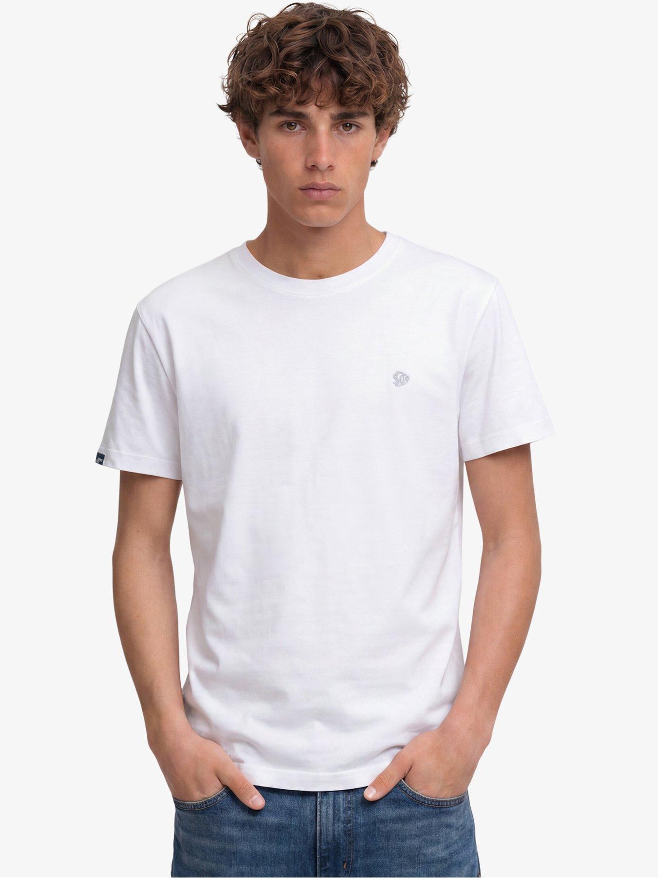 Superdry SD & Co Logo Embroidered T-Shirt - Grey