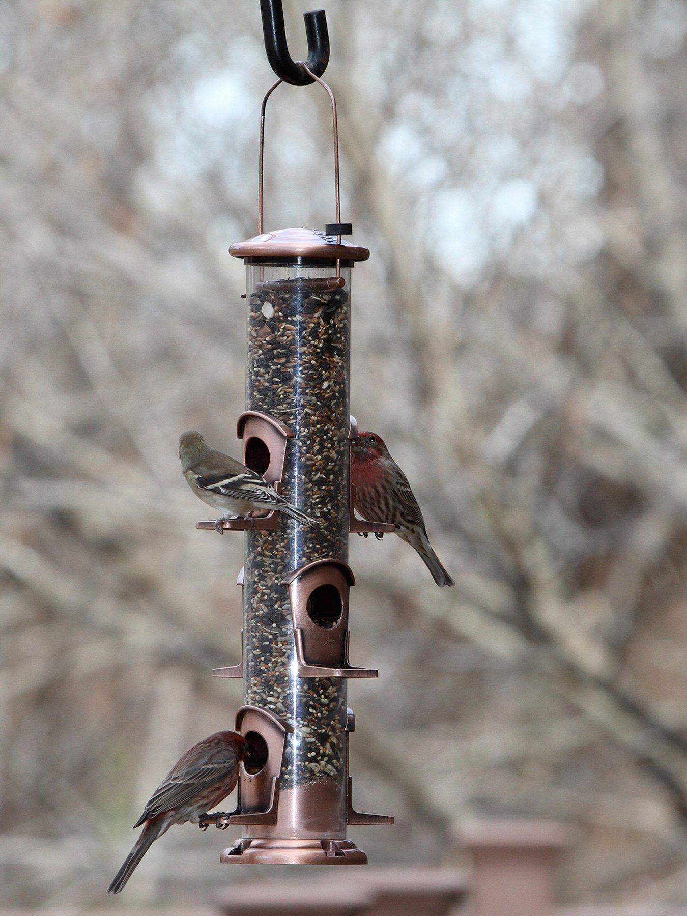 Panacea Brushed Copper 6-Port Seed Feeder