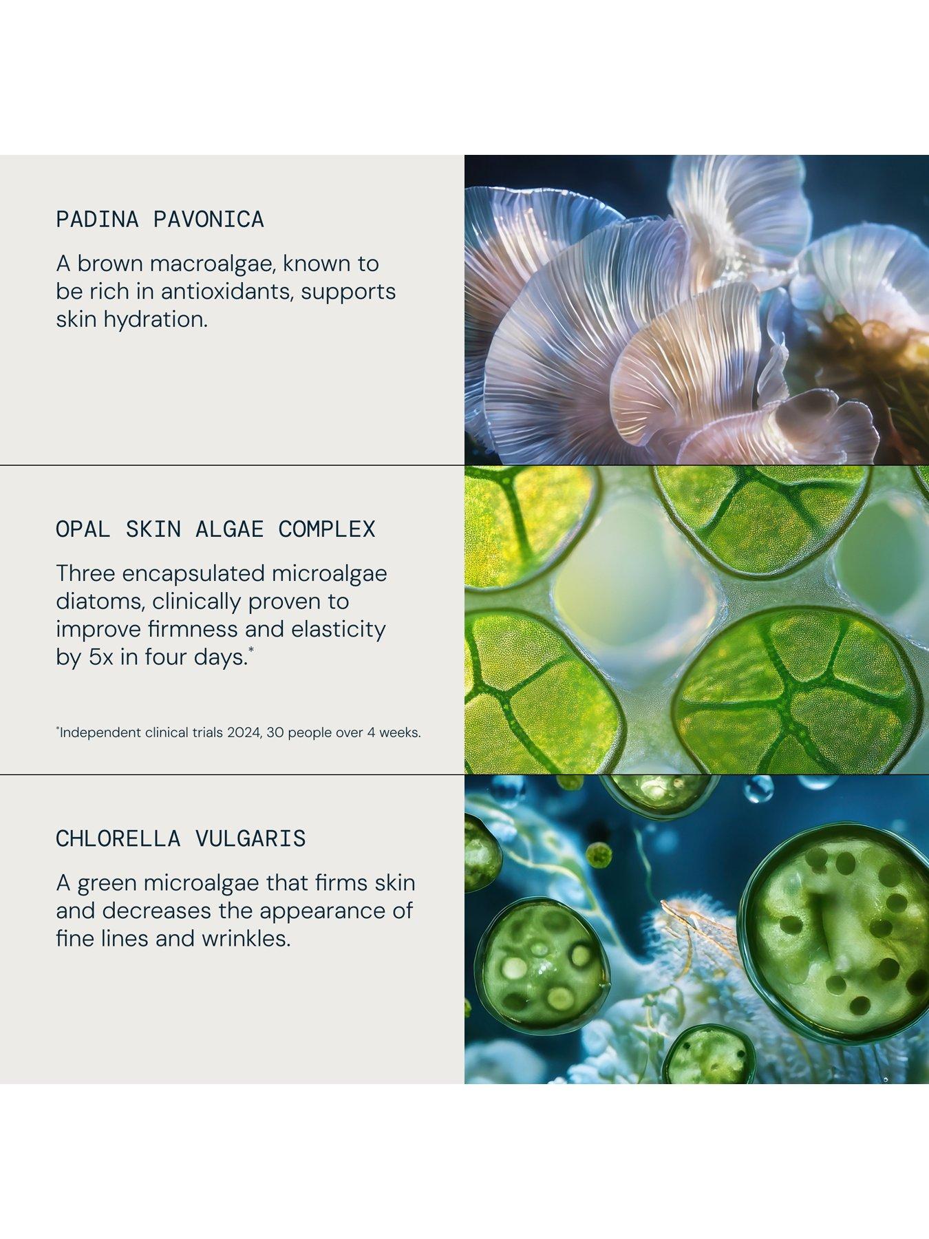 Image 5 of 7 of Elemis Pro-Collagen Revitalise &amp; Rejuvenate Routine (worth &pound;193)