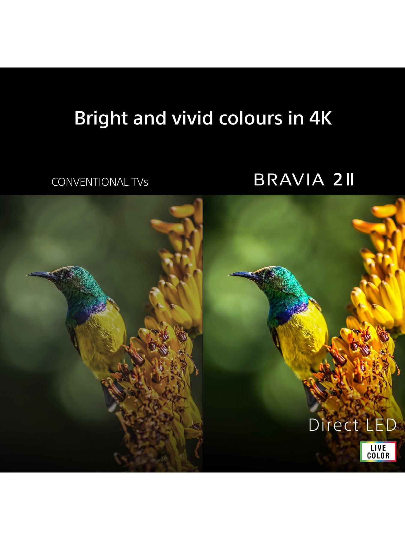Image 2 of 8 of Sony Bravia 2 II