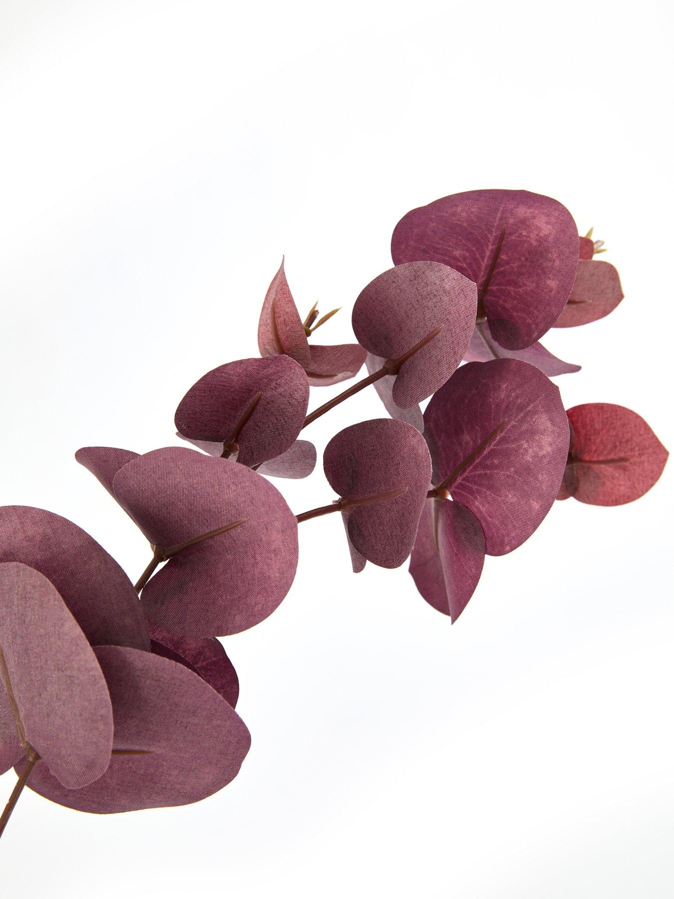Image 5 of 7 of The Very Collection 3pk Burgundy Eucalyptus Bunch