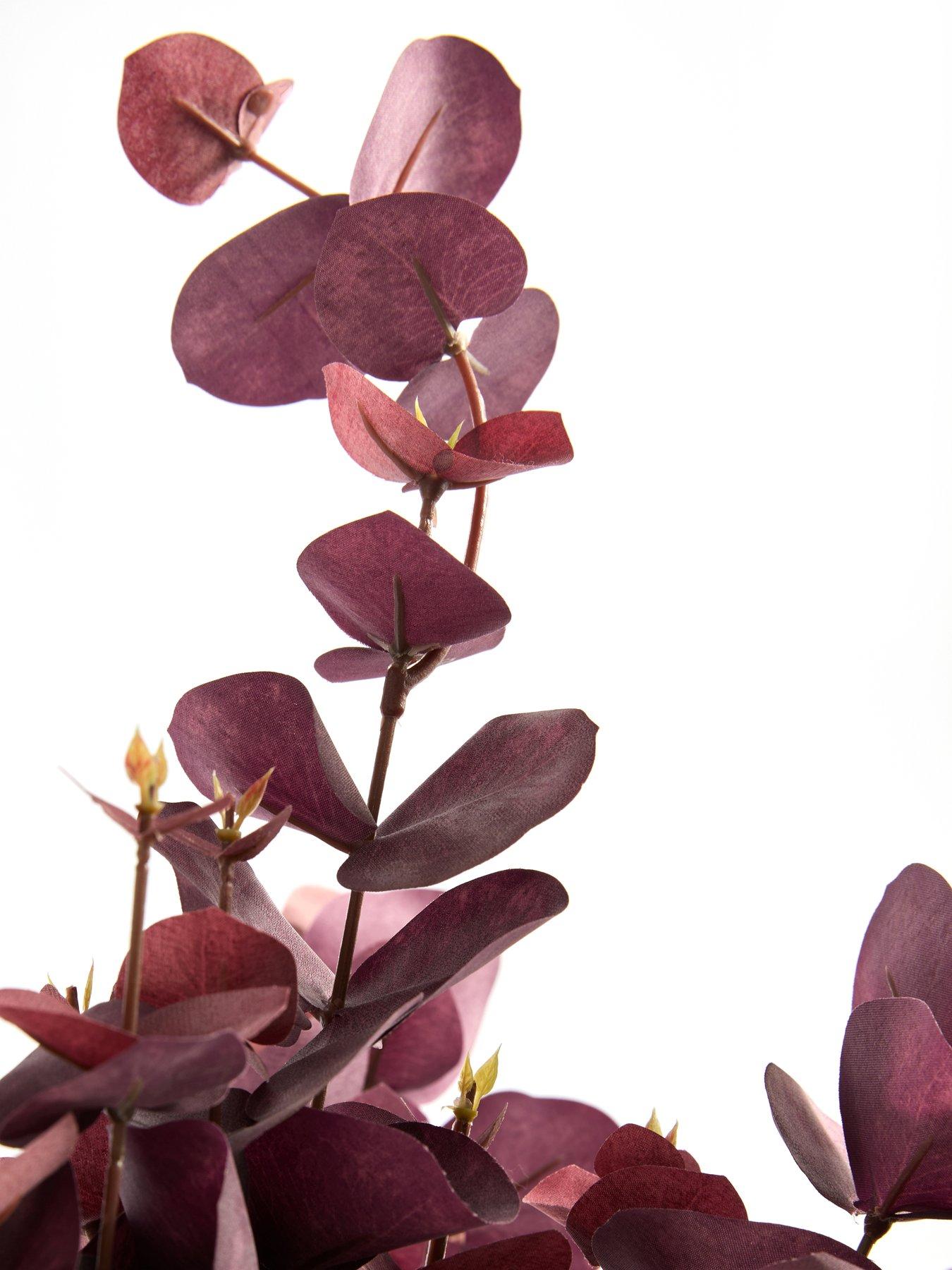 Image 6 of 7 of The Very Collection 3pk Burgundy Eucalyptus Bunch