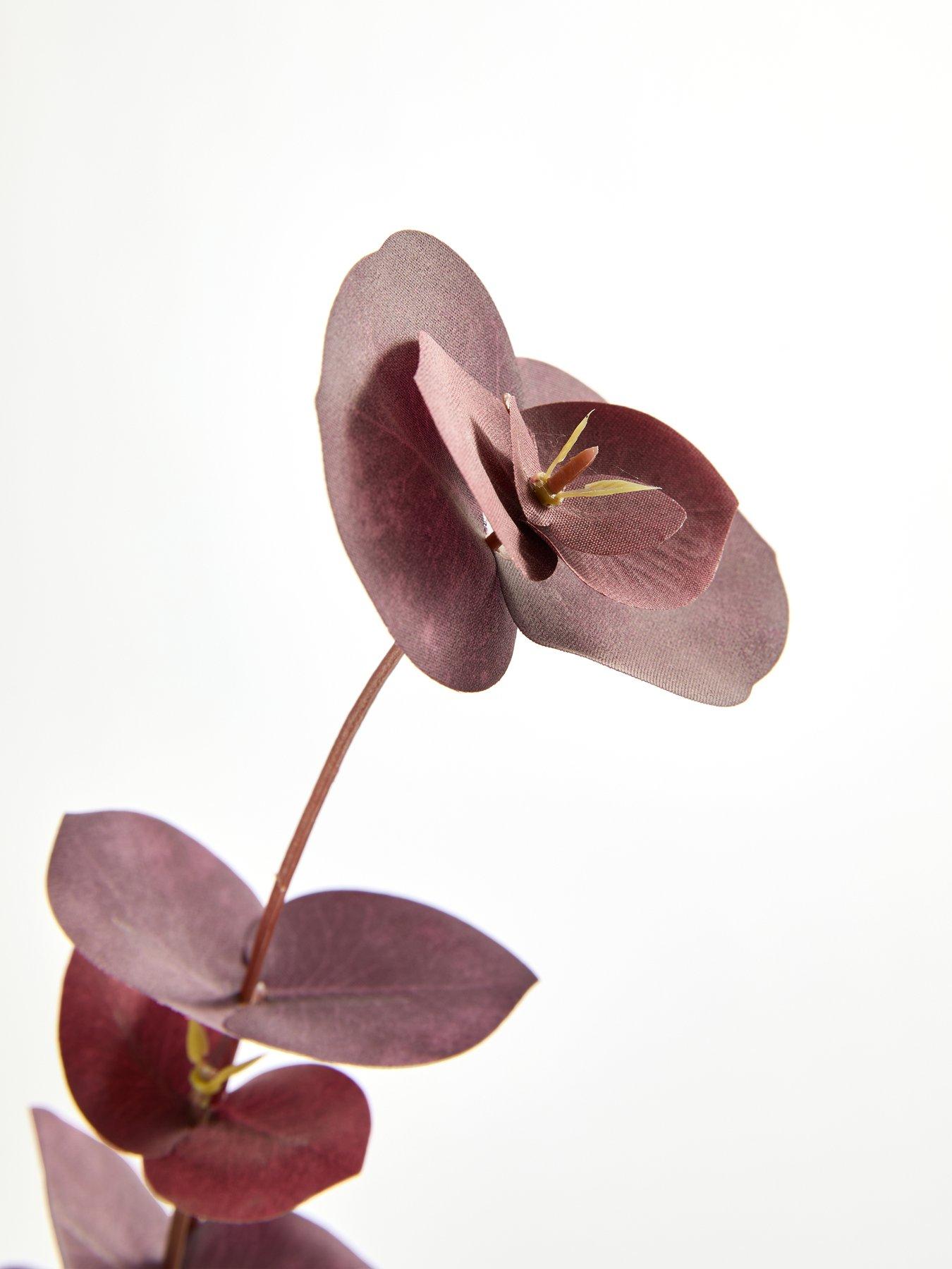 Image 7 of 7 of The Very Collection 3pk Burgundy Eucalyptus Bunch